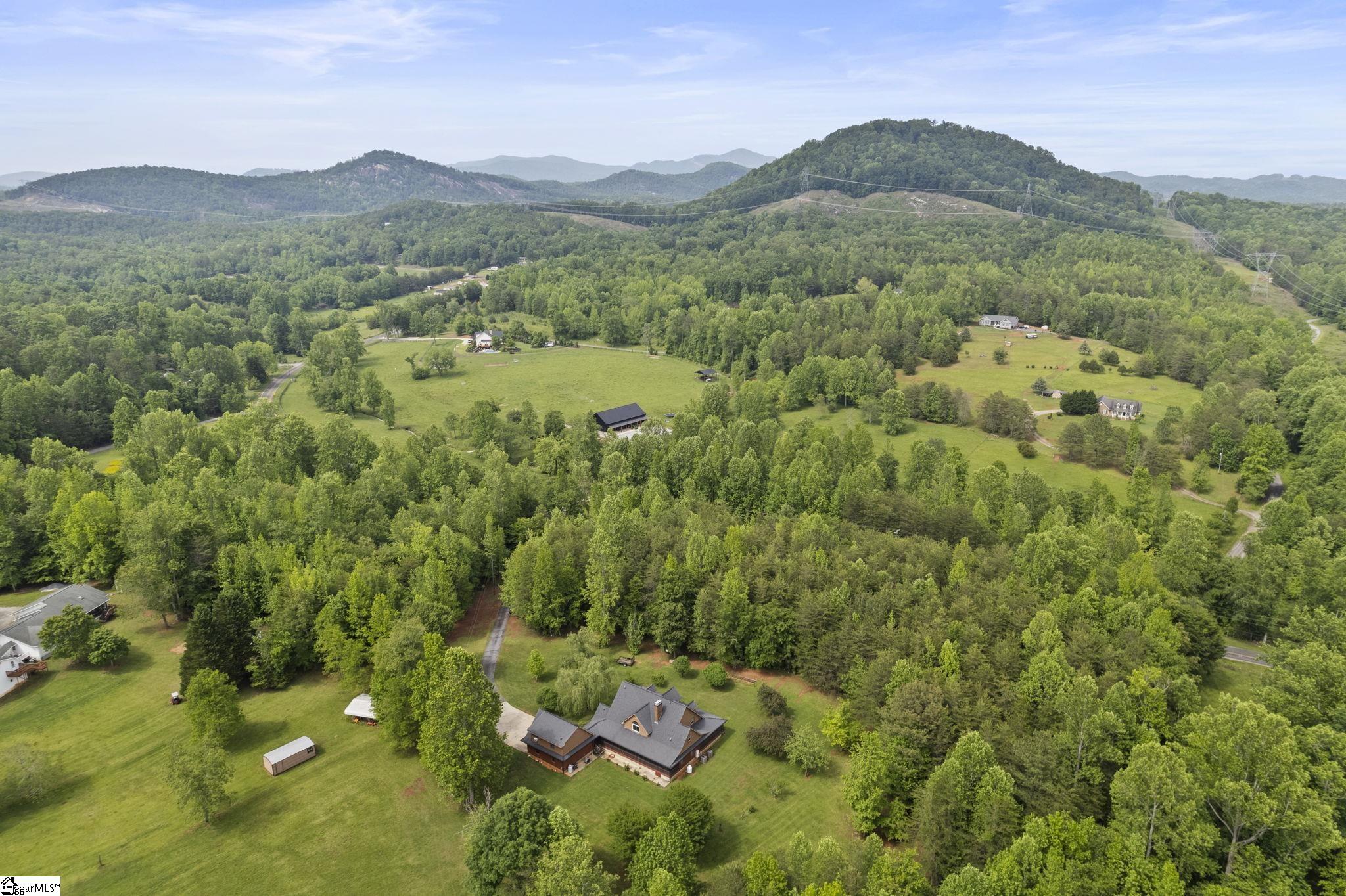 889 Nine Times, Pickens, South Carolina image 3