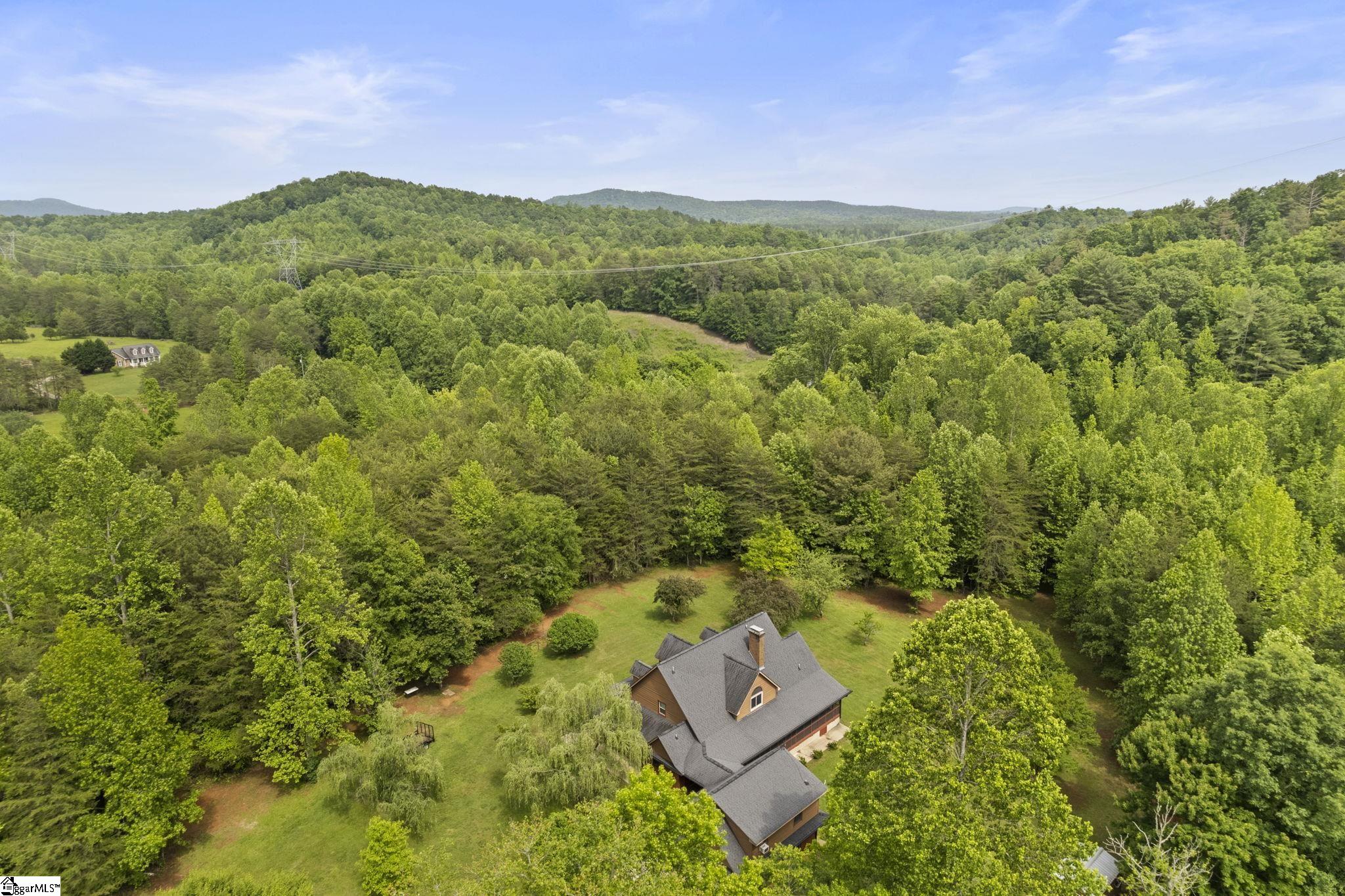 889 Nine Times, Pickens, South Carolina image 38