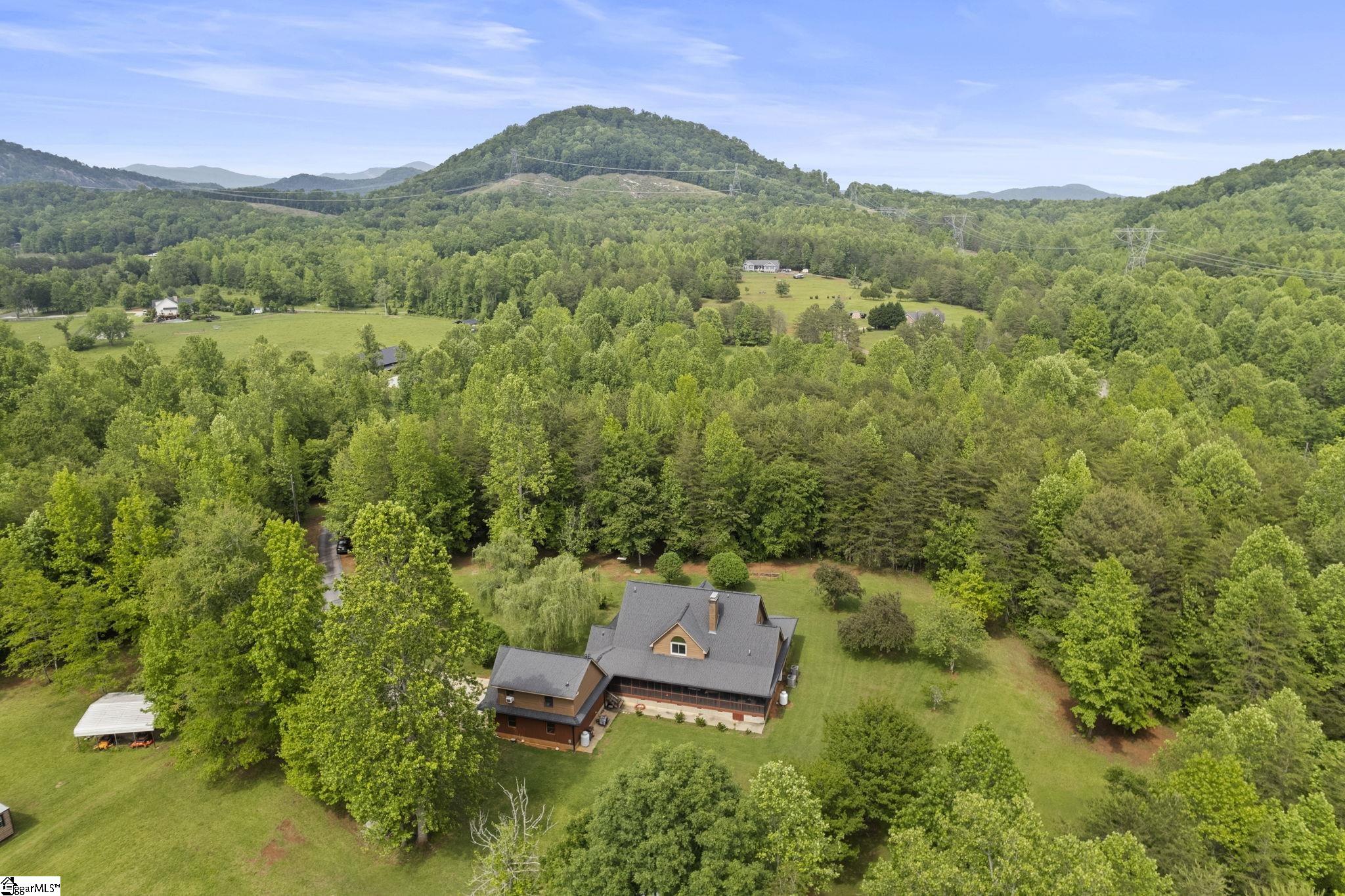 889 Nine Times, Pickens, South Carolina image 39