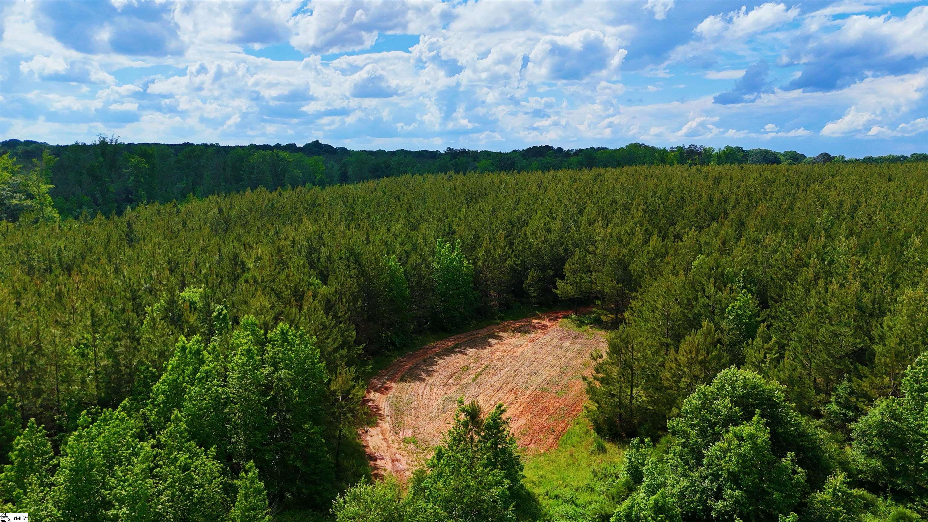 725 Old Shoals Junction, Donalds, South Carolina image 18
