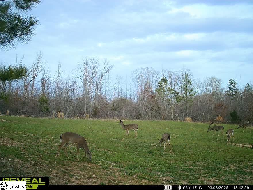 725 Old Shoals Junction, Donalds, South Carolina image 30