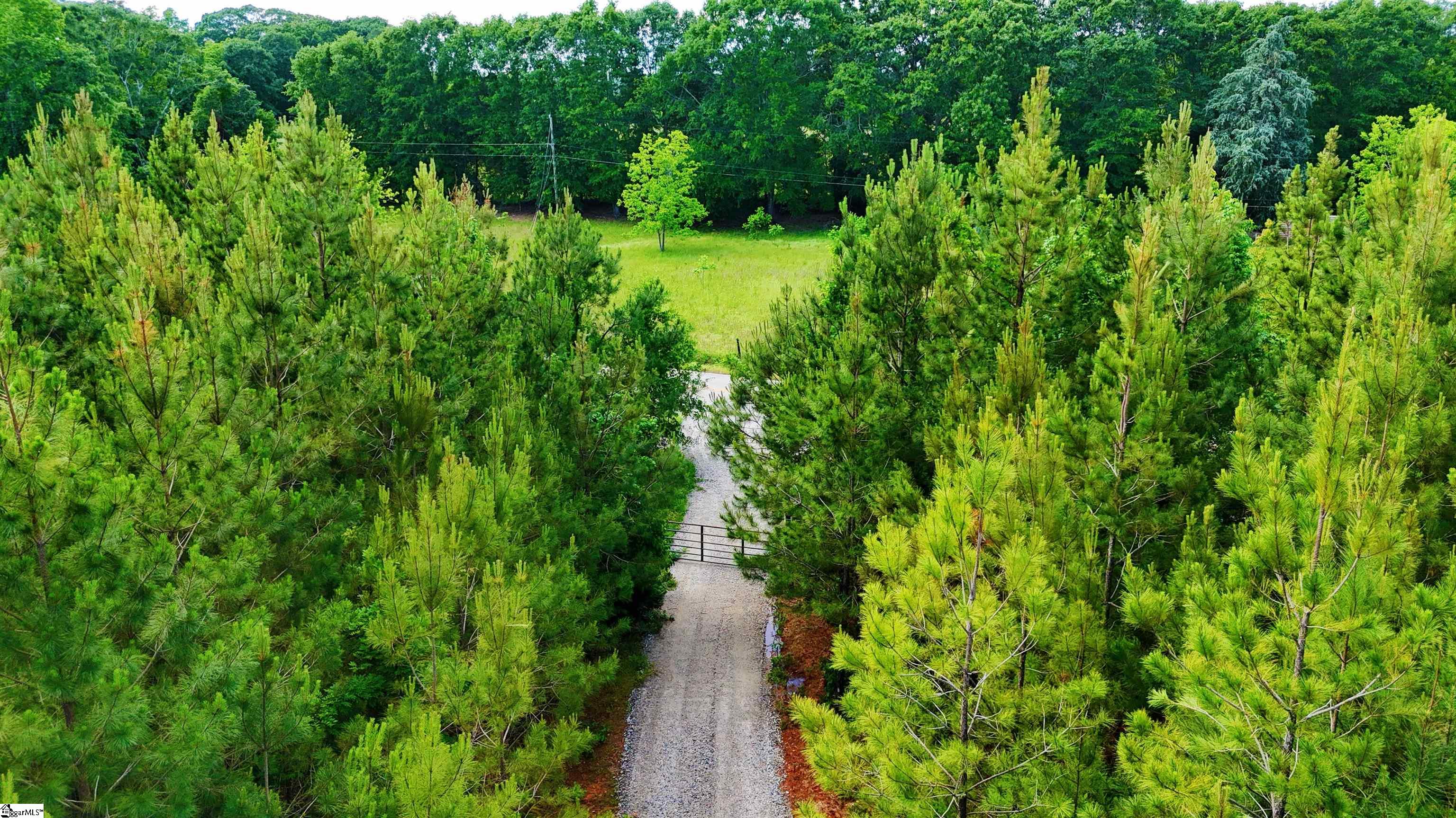 725 Old Shoals Junction, Donalds, South Carolina image 6