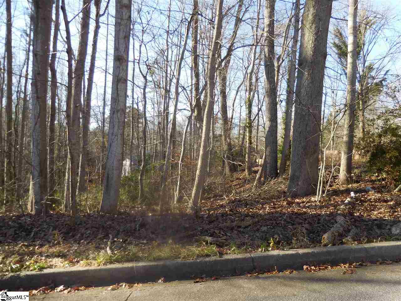 Heathwood, Spartanburg, South Carolina image 4