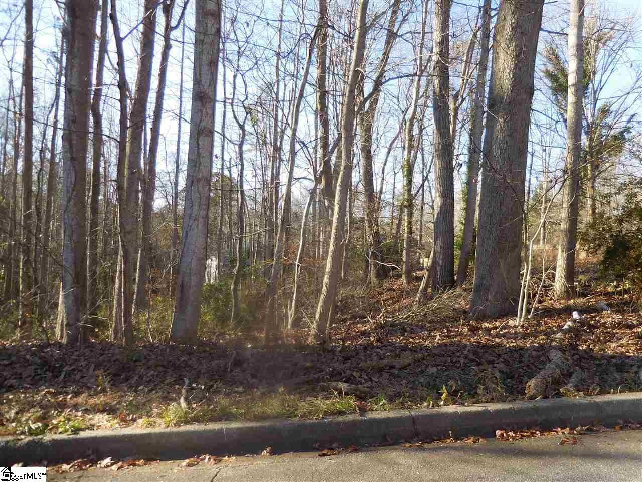 Heathwood, Spartanburg, South Carolina image 5