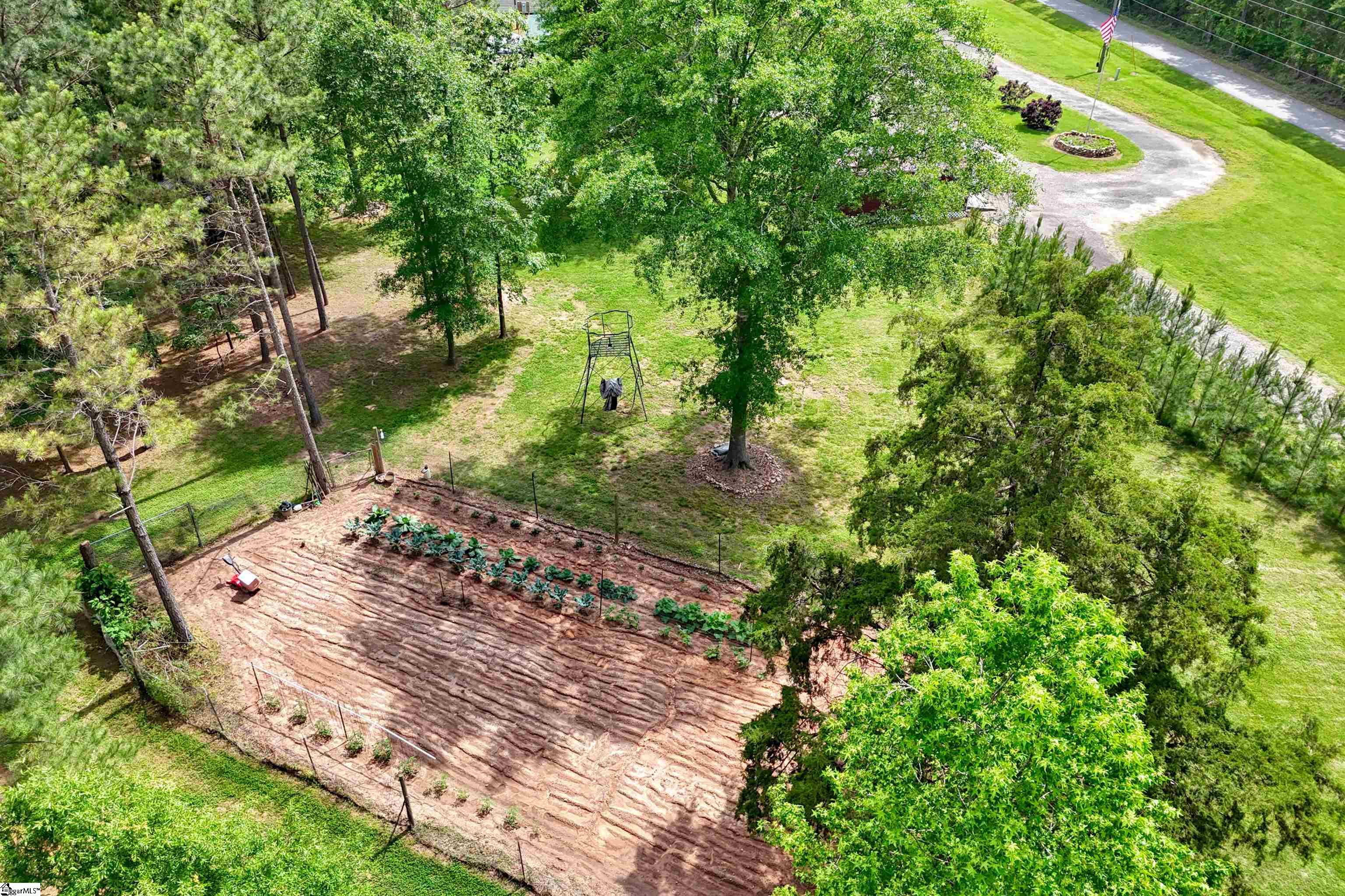 402 Terrapin, Union, South Carolina image 43