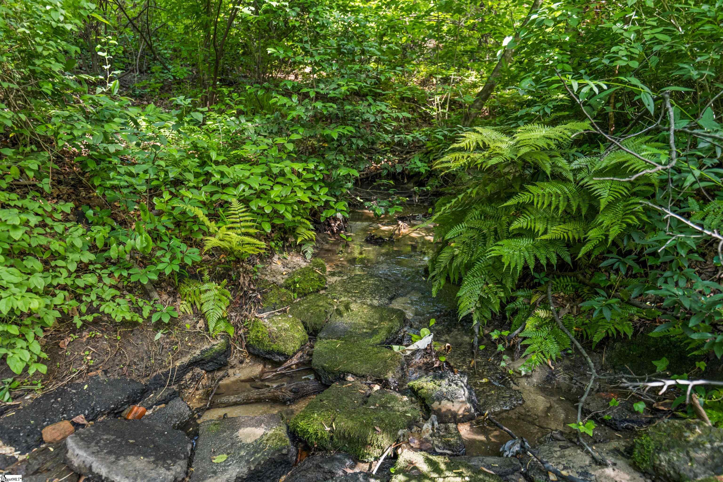 1103 Half Mile, Greenville, South Carolina image 29