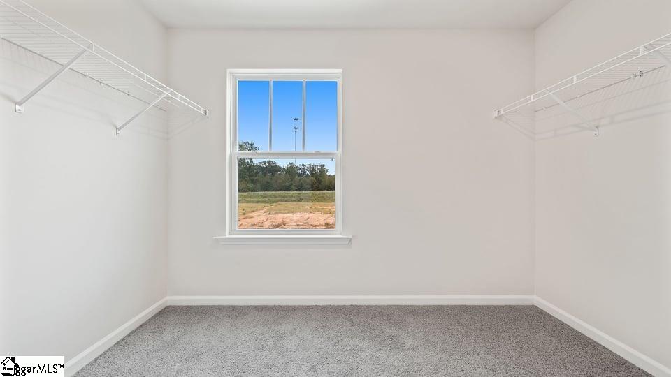 MLS #1557923 image #26