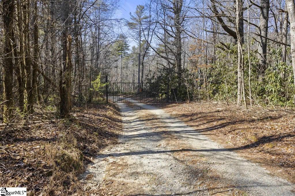 3772 Bear Paw Ridge, Zirconia, North Carolina image 1