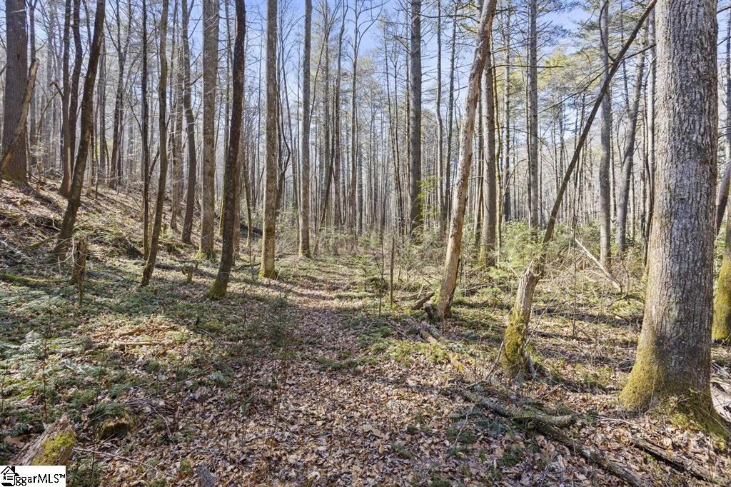 3772 Bear Paw Ridge, Zirconia, North Carolina image 12