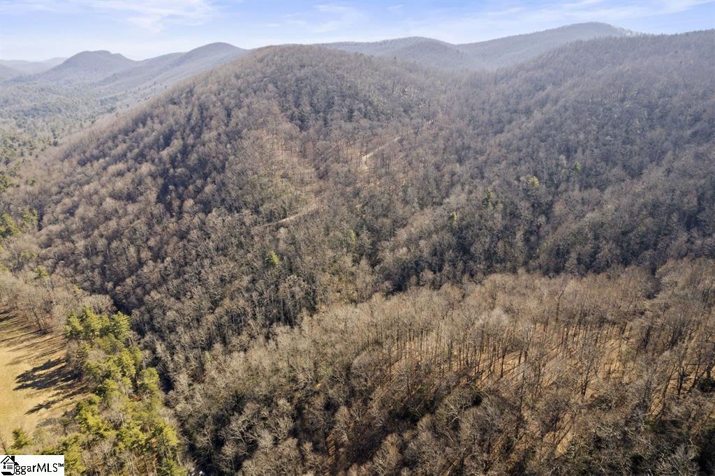 3772 Bear Paw Ridge, Zirconia, North Carolina image 3