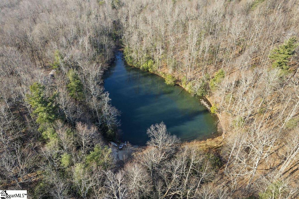 3772 Bear Paw Ridge, Zirconia, North Carolina image 6