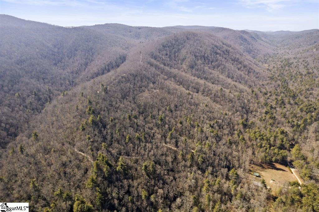 3772 Bear Paw Ridge, Zirconia, North Carolina image 7