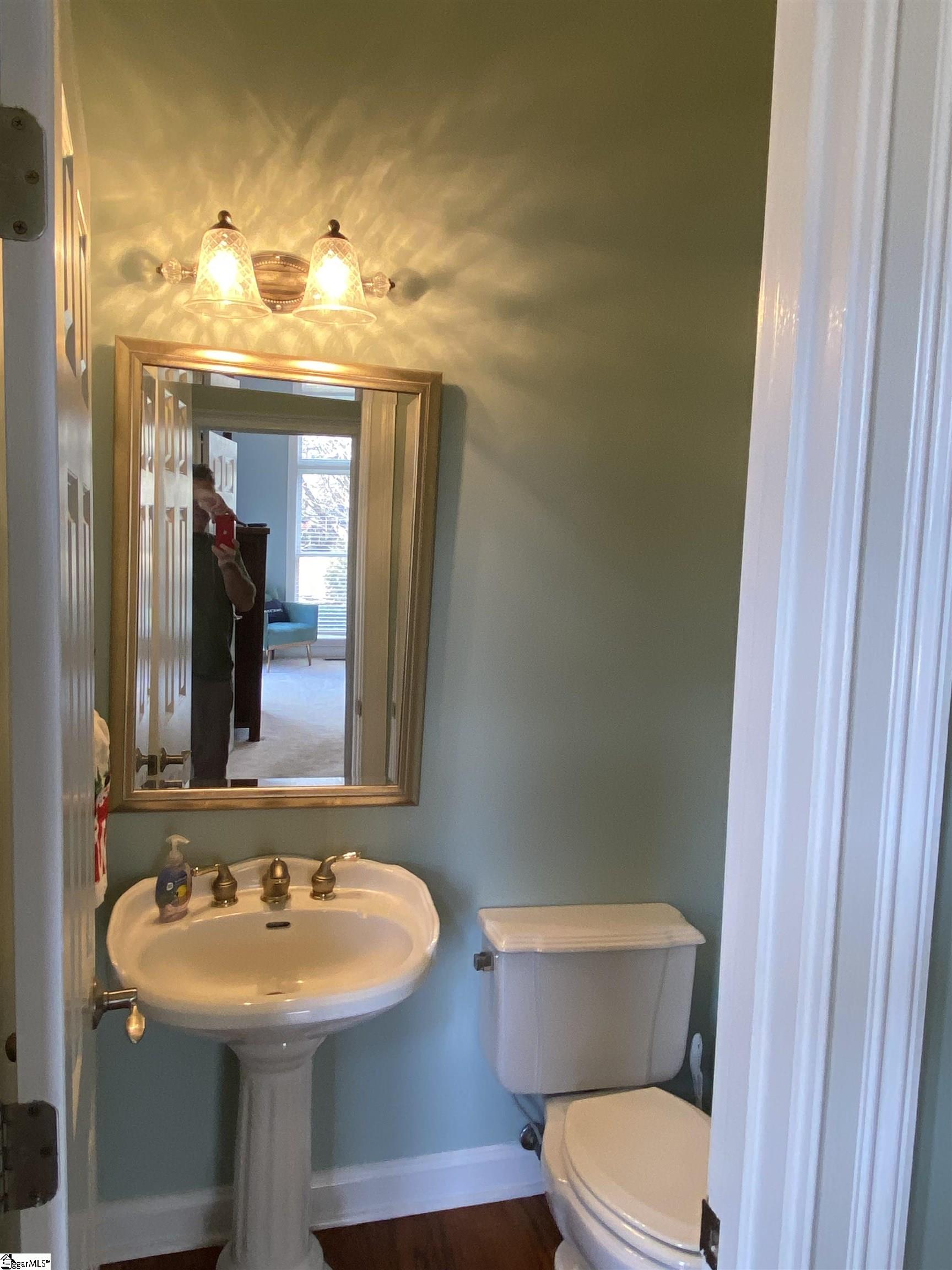 19 Ruby Lake, Simpsonville, South Carolina image 11