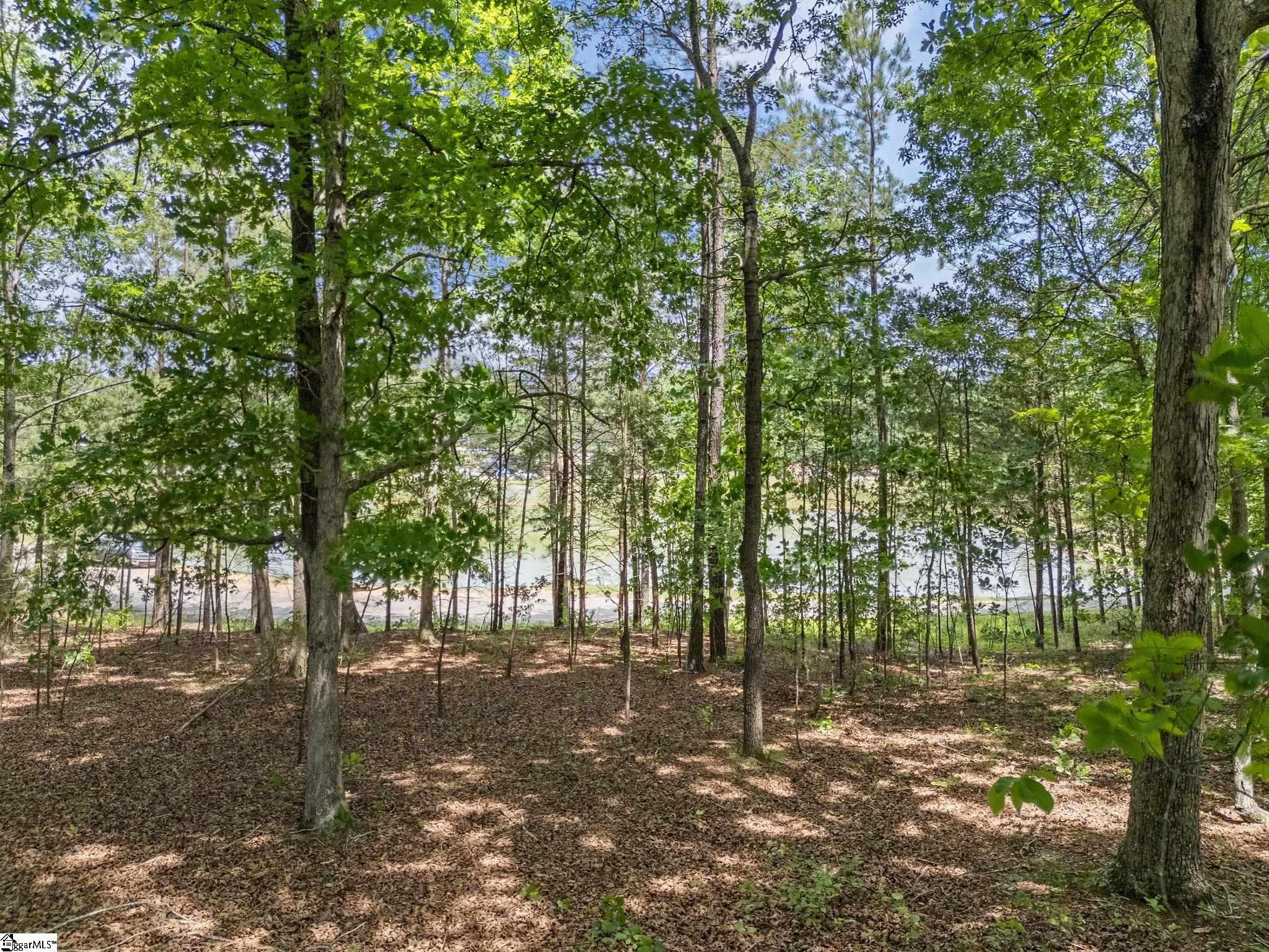3709 Spearman, Greer, South Carolina image 28