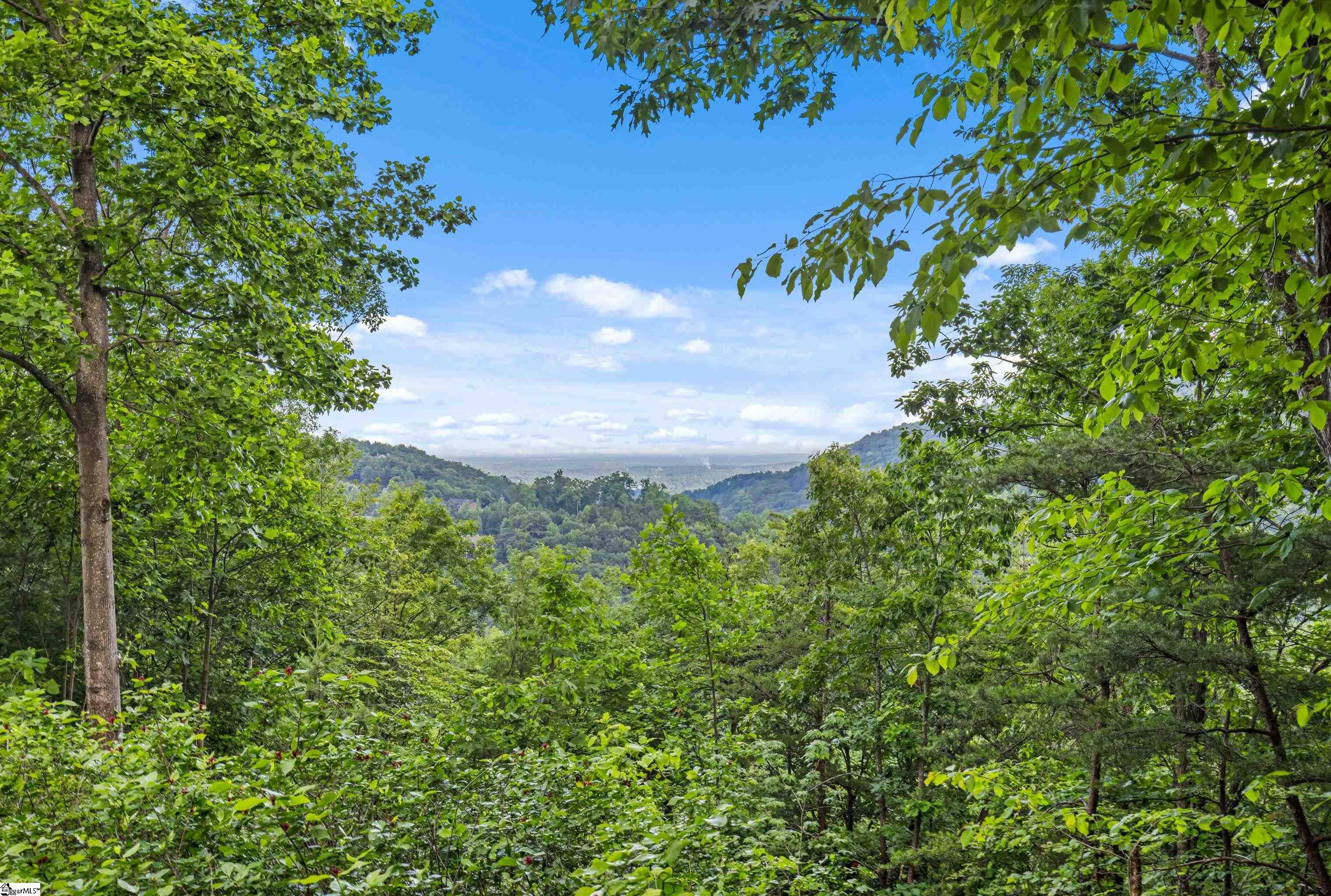 214 Craggy Rock, Landrum, South Carolina image 1