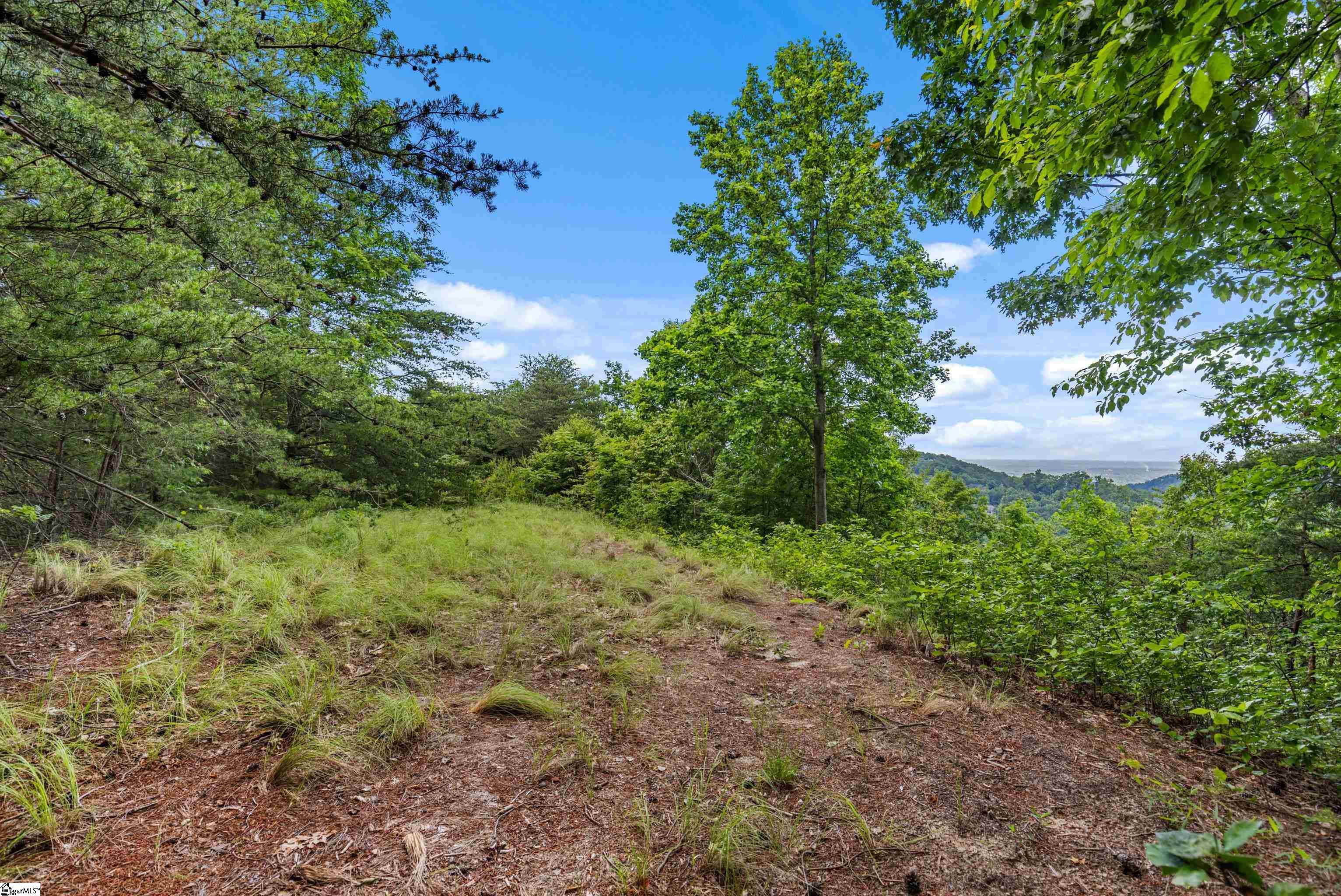 214 Craggy Rock, Landrum, South Carolina image 2
