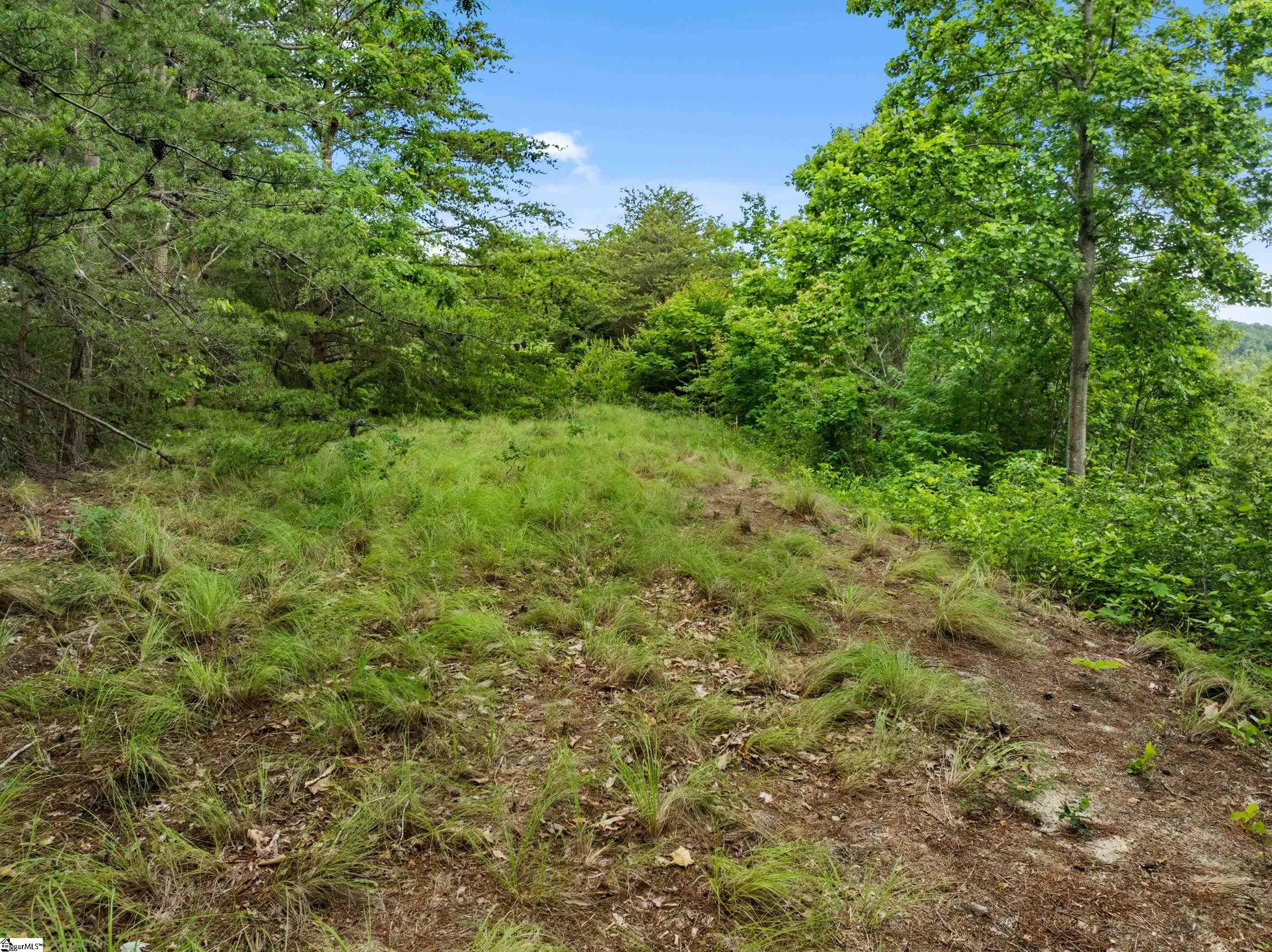 214 Craggy Rock, Landrum, South Carolina image 11