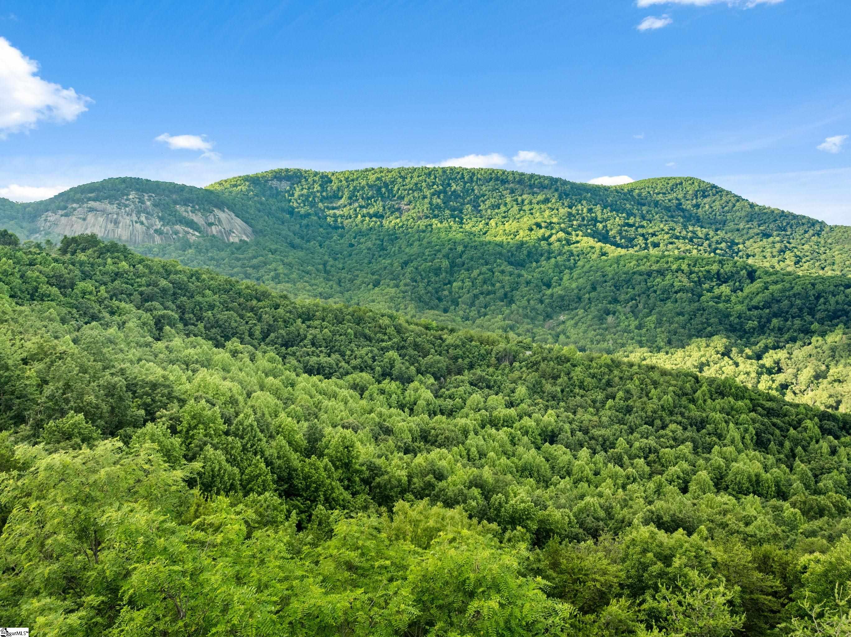 214 Craggy Rock, Landrum, South Carolina image 13