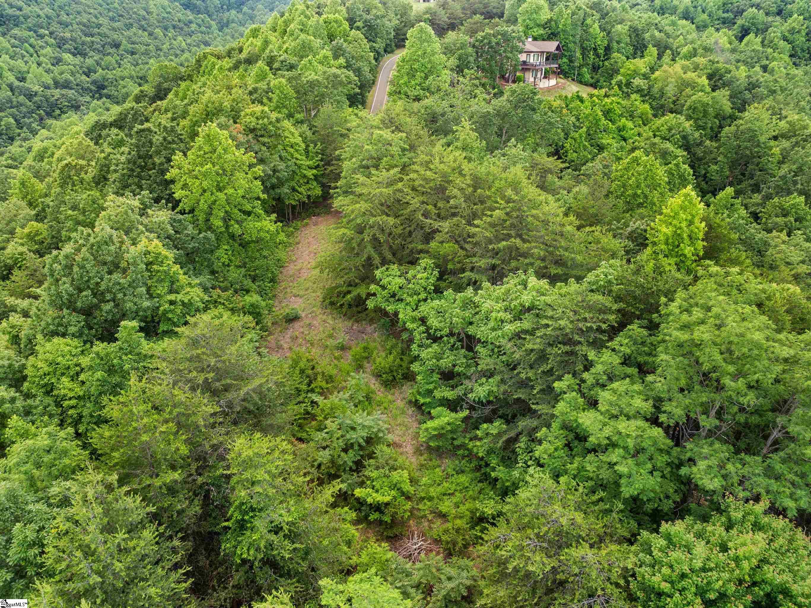 214 Craggy Rock, Landrum, South Carolina image 14