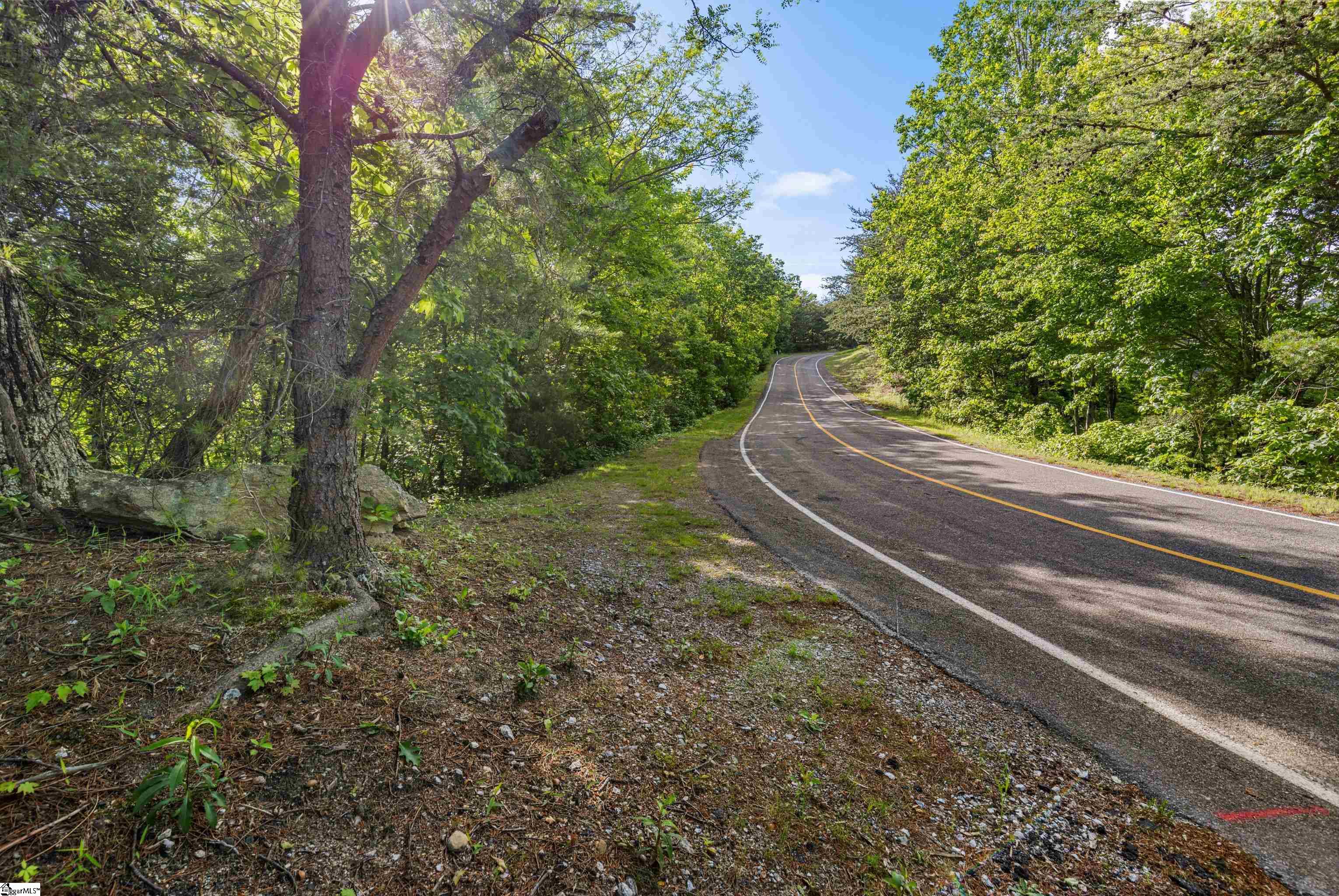 214 Craggy Rock, Landrum, South Carolina image 16