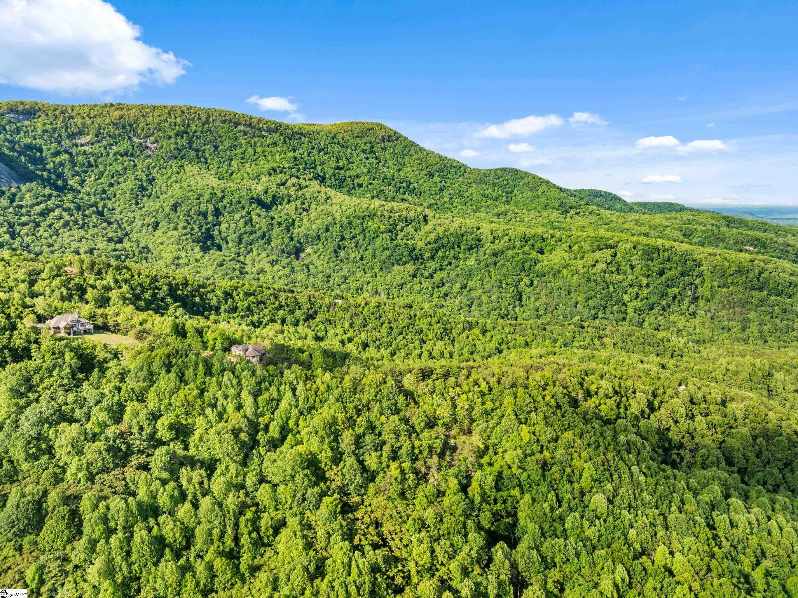 214 Craggy Rock, Landrum, South Carolina image 18