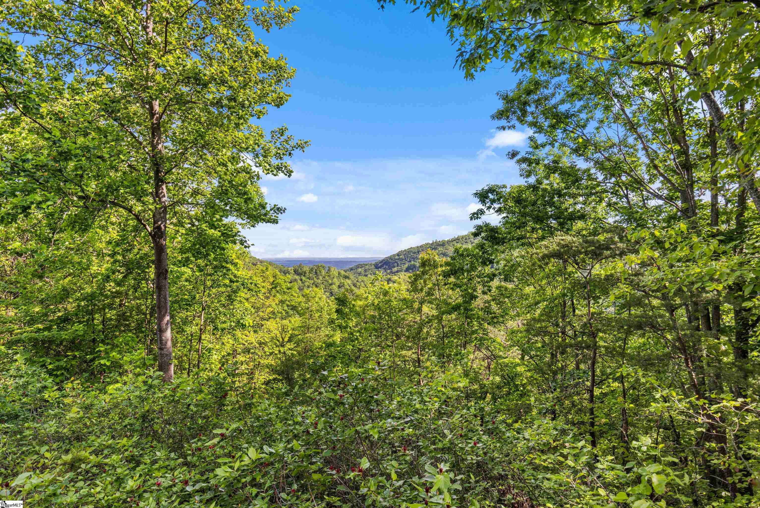 214 Craggy Rock, Landrum, South Carolina image 19