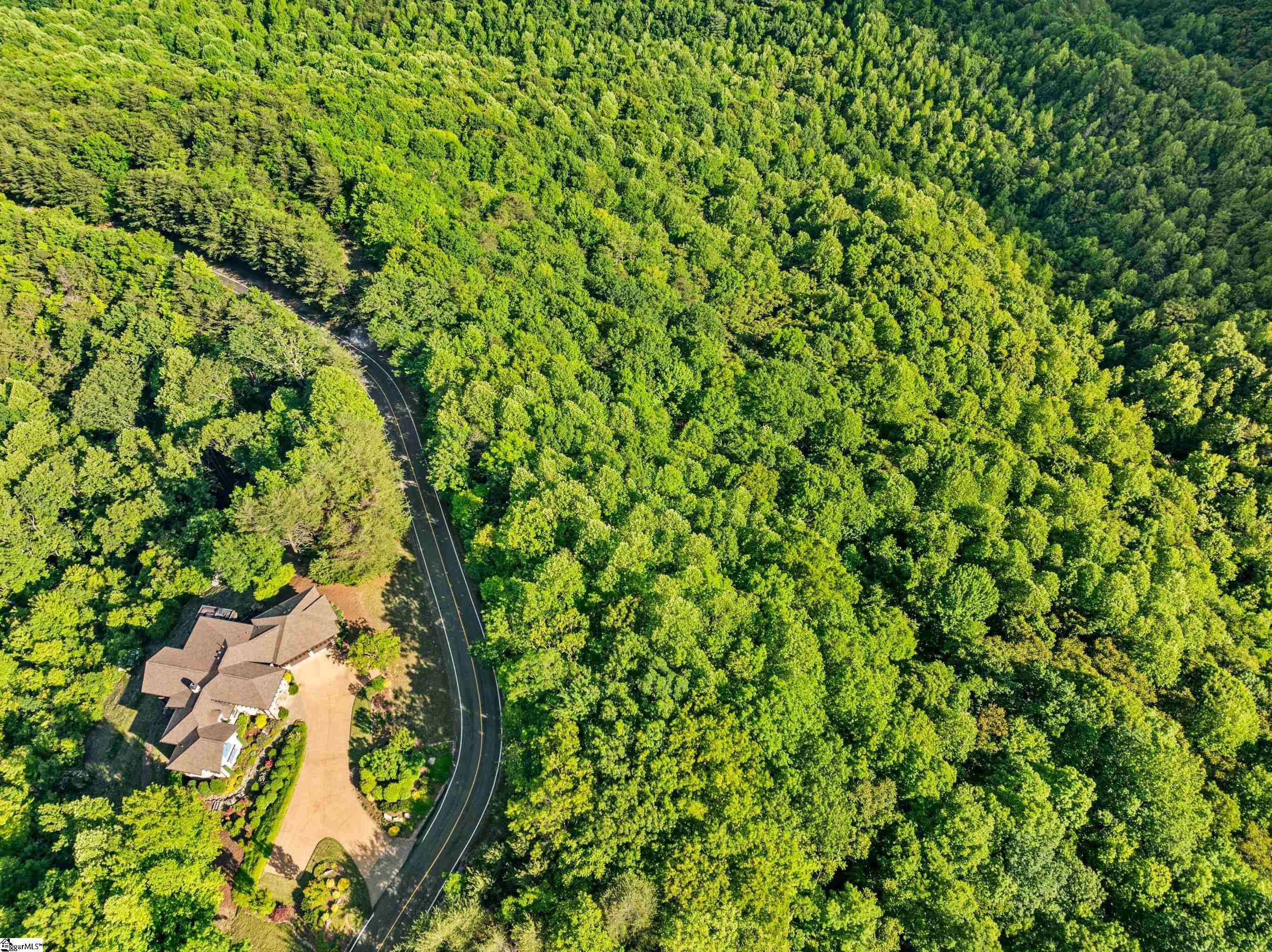 214 Craggy Rock, Landrum, South Carolina image 21
