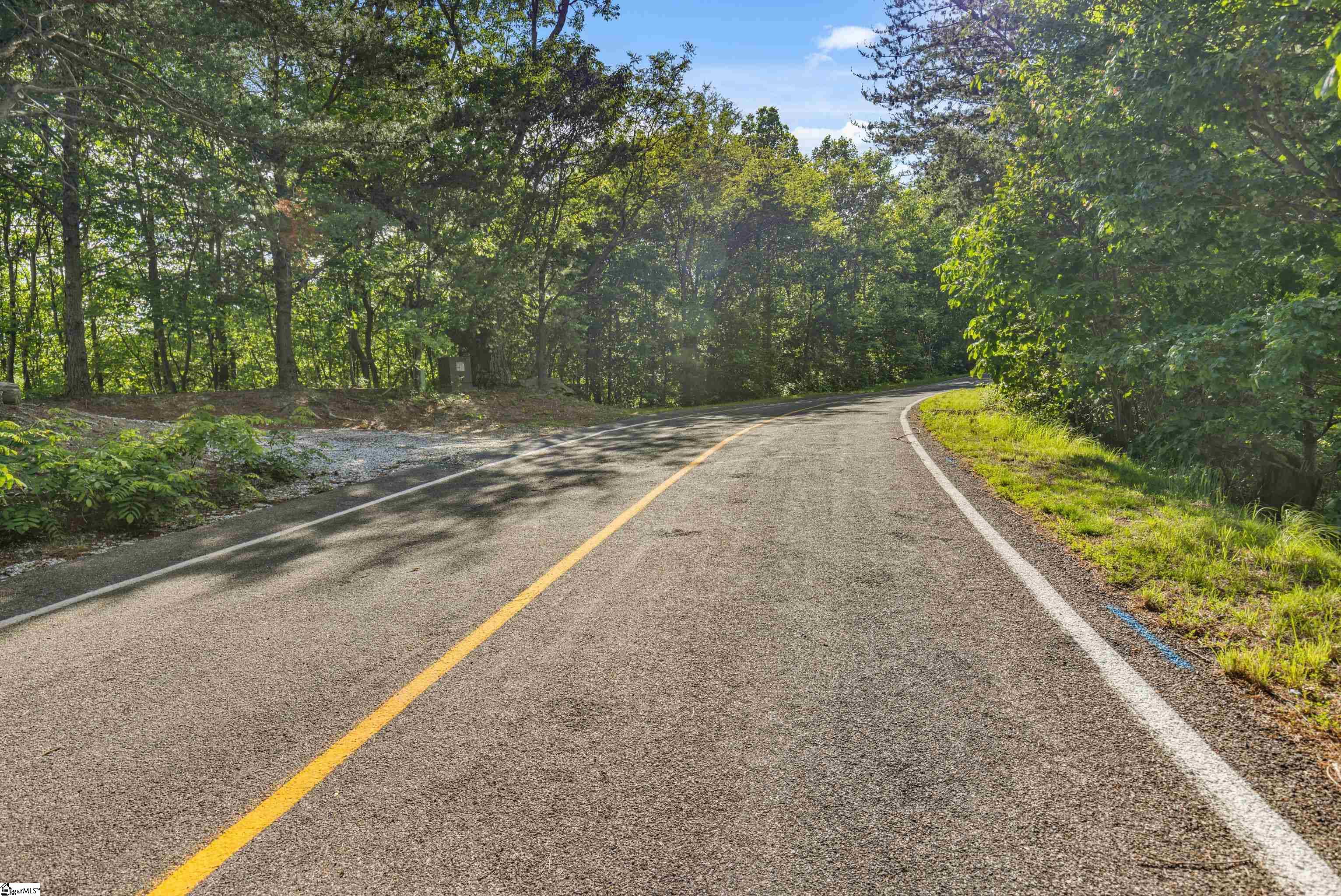 214 Craggy Rock, Landrum, South Carolina image 22