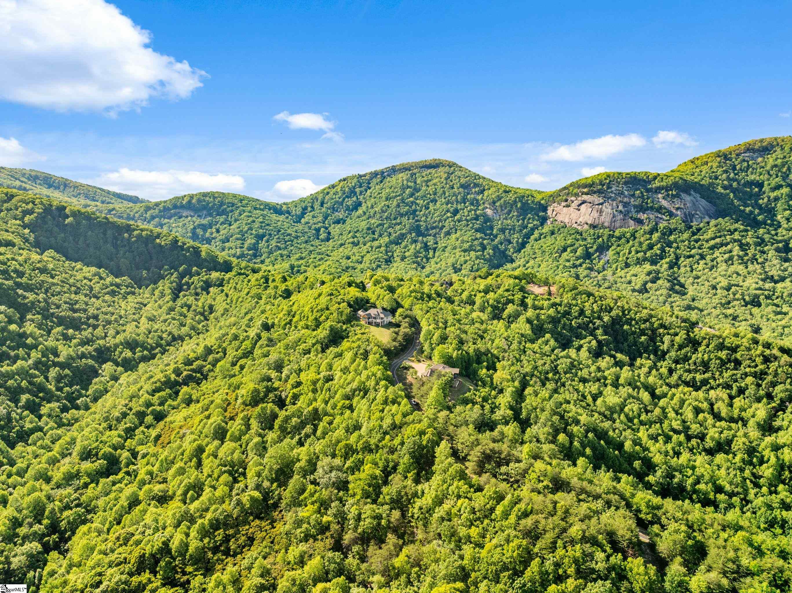 214 Craggy Rock, Landrum, South Carolina image 23