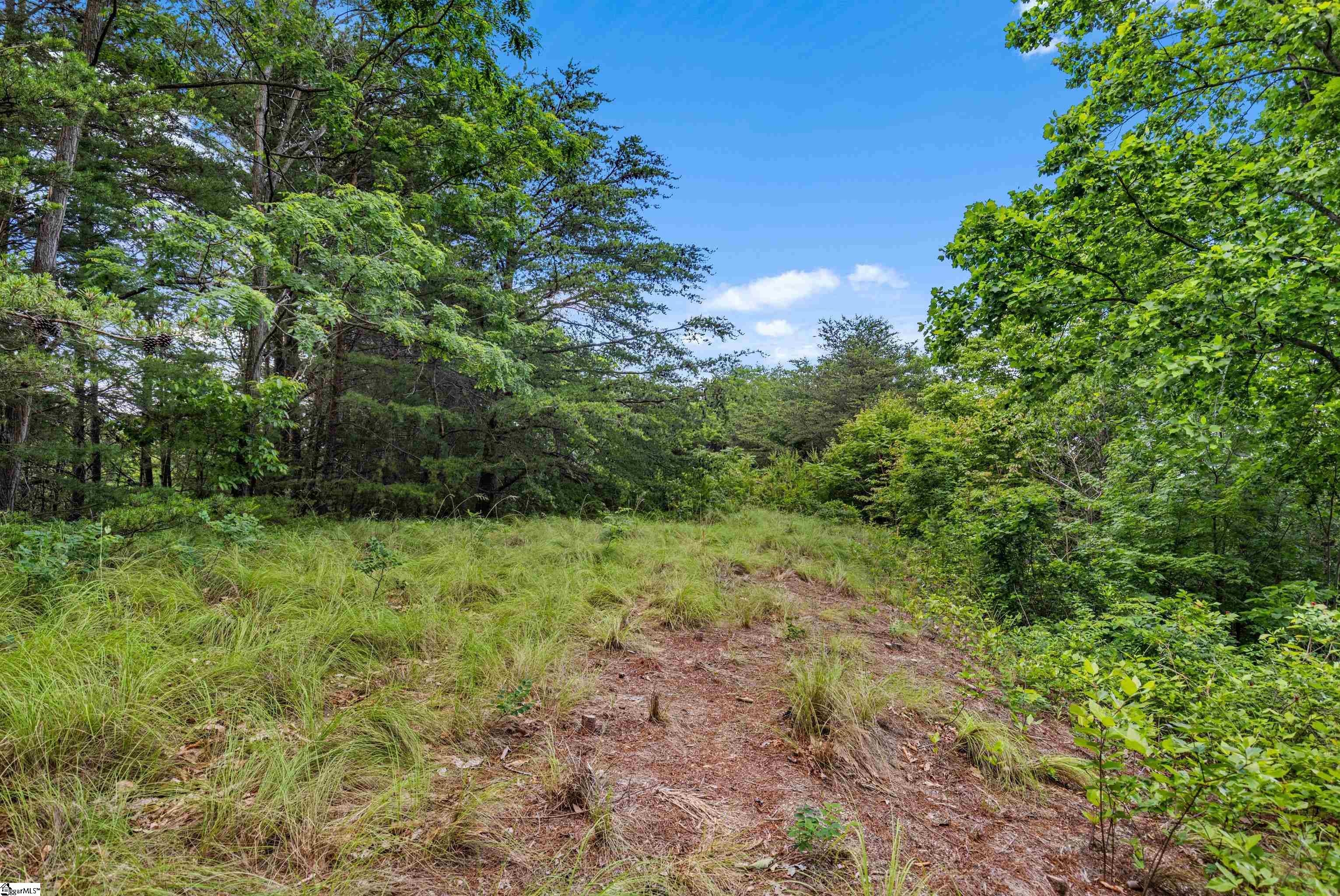 214 Craggy Rock, Landrum, South Carolina image 25