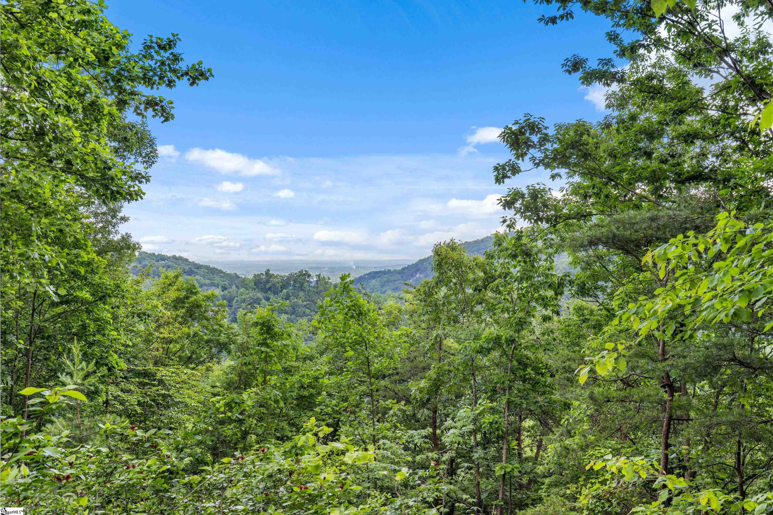 214 Craggy Rock, Landrum, South Carolina image 26