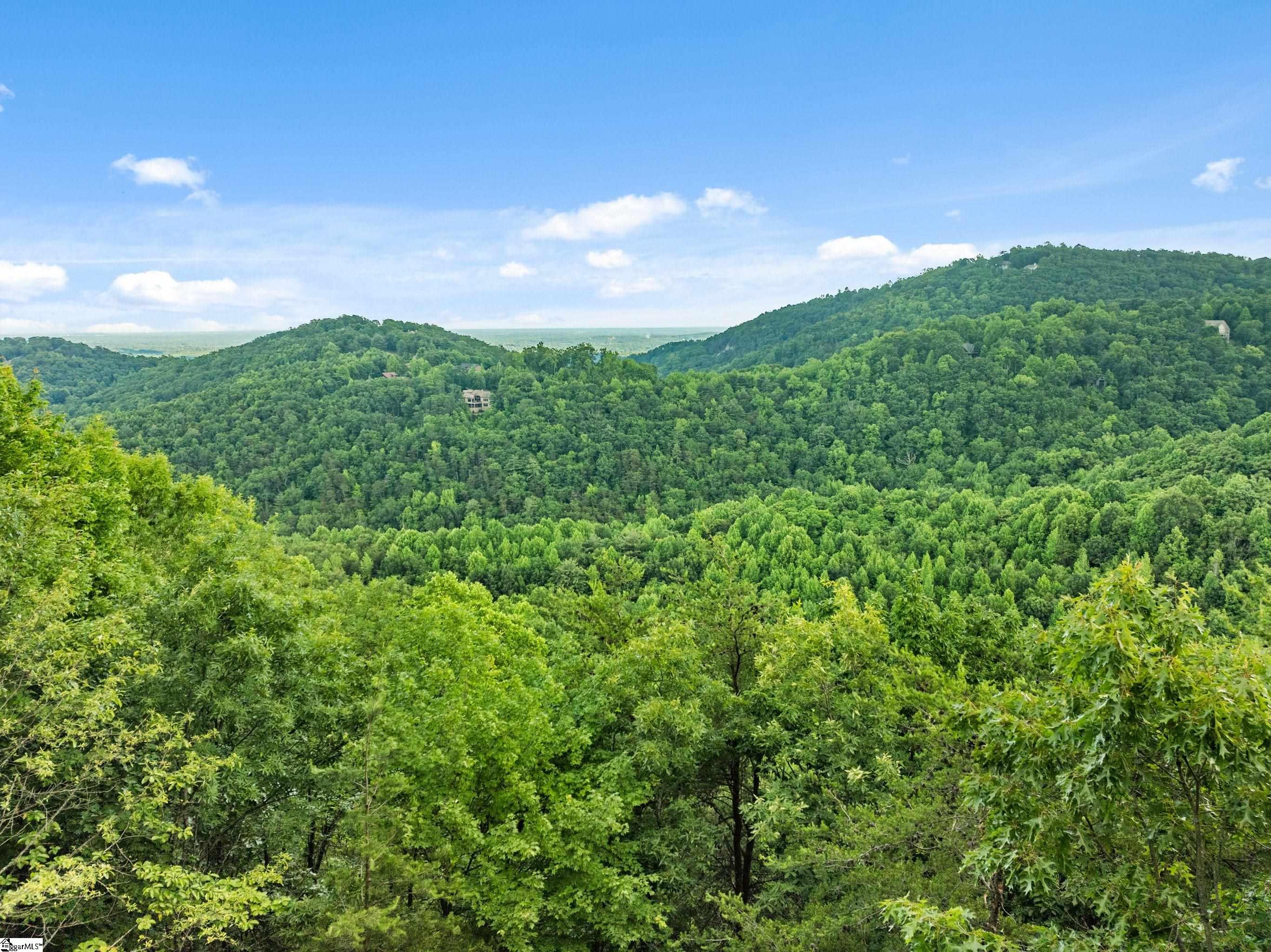 214 Craggy Rock, Landrum, South Carolina image 27