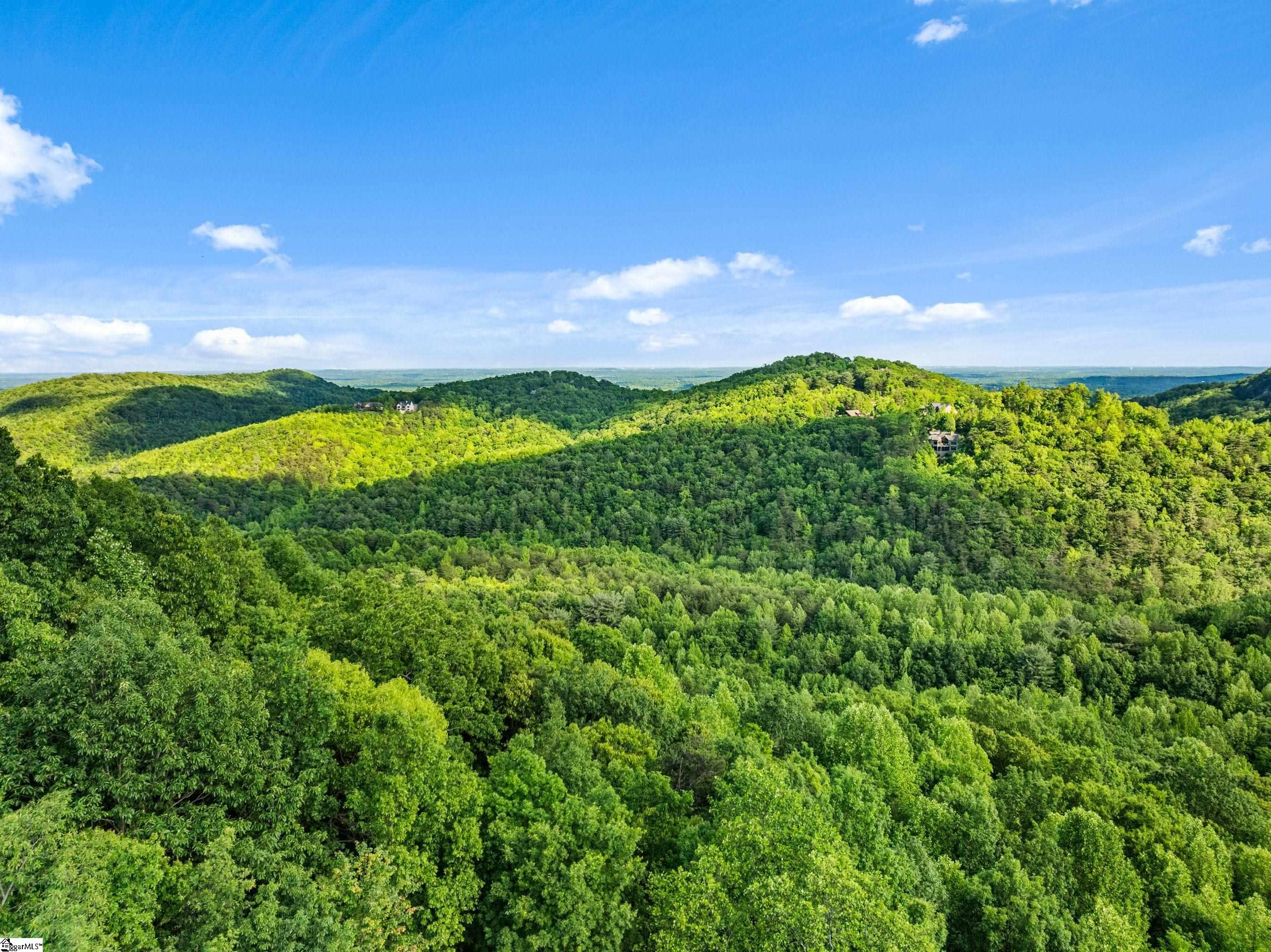 214 Craggy Rock, Landrum, South Carolina image 28