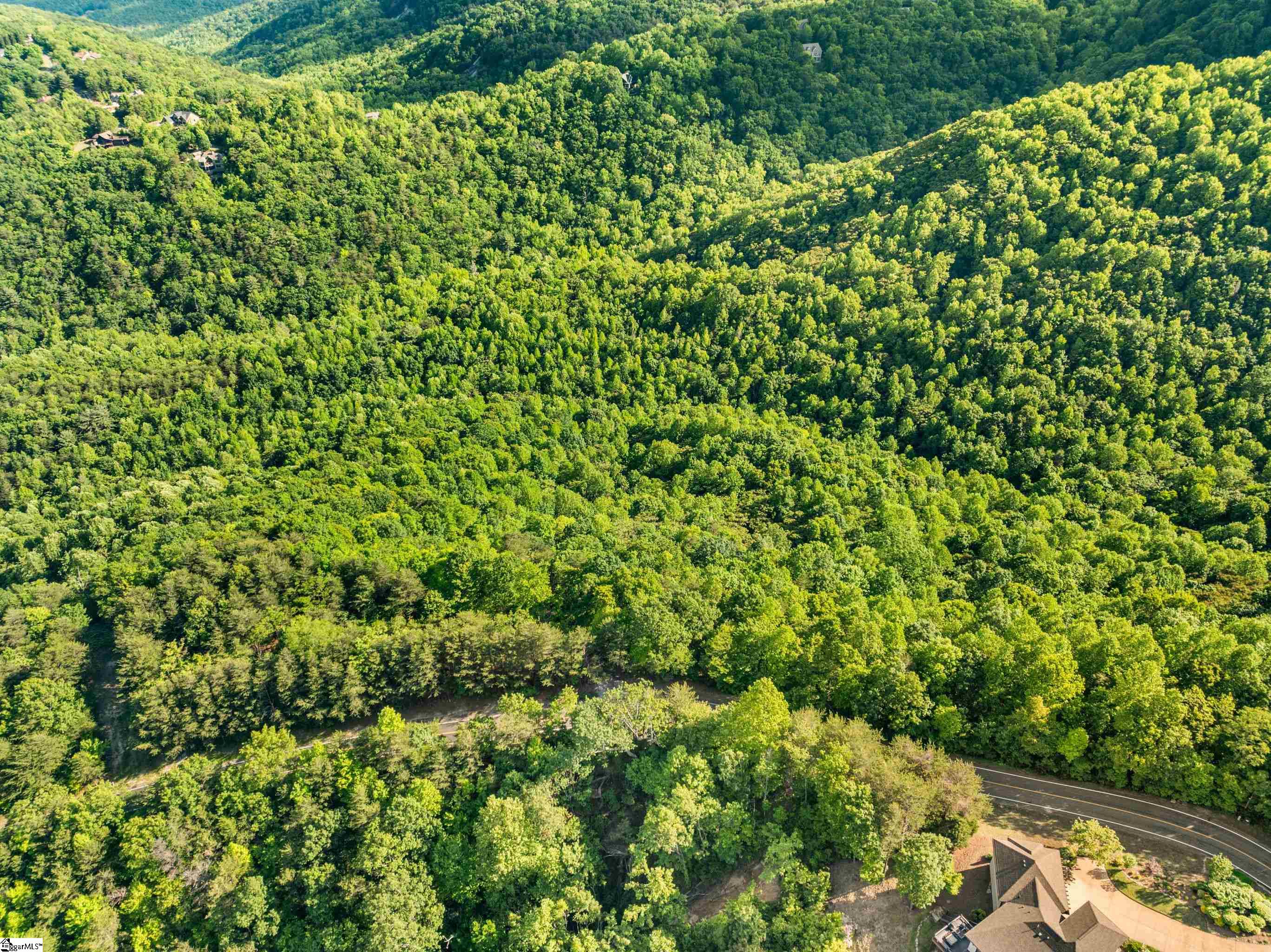 214 Craggy Rock, Landrum, South Carolina image 29