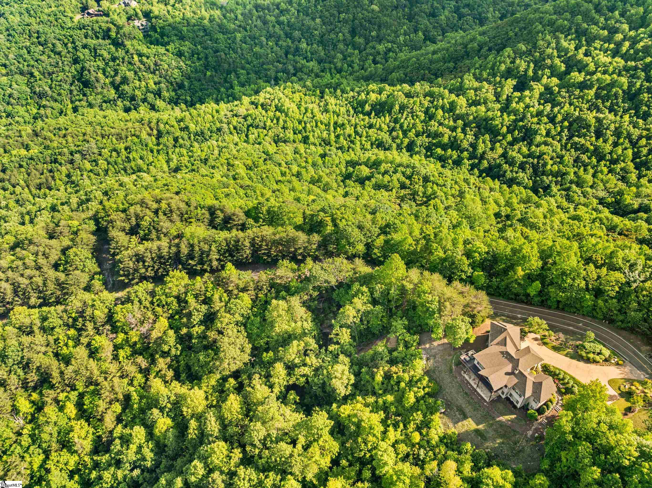 214 Craggy Rock, Landrum, South Carolina image 30