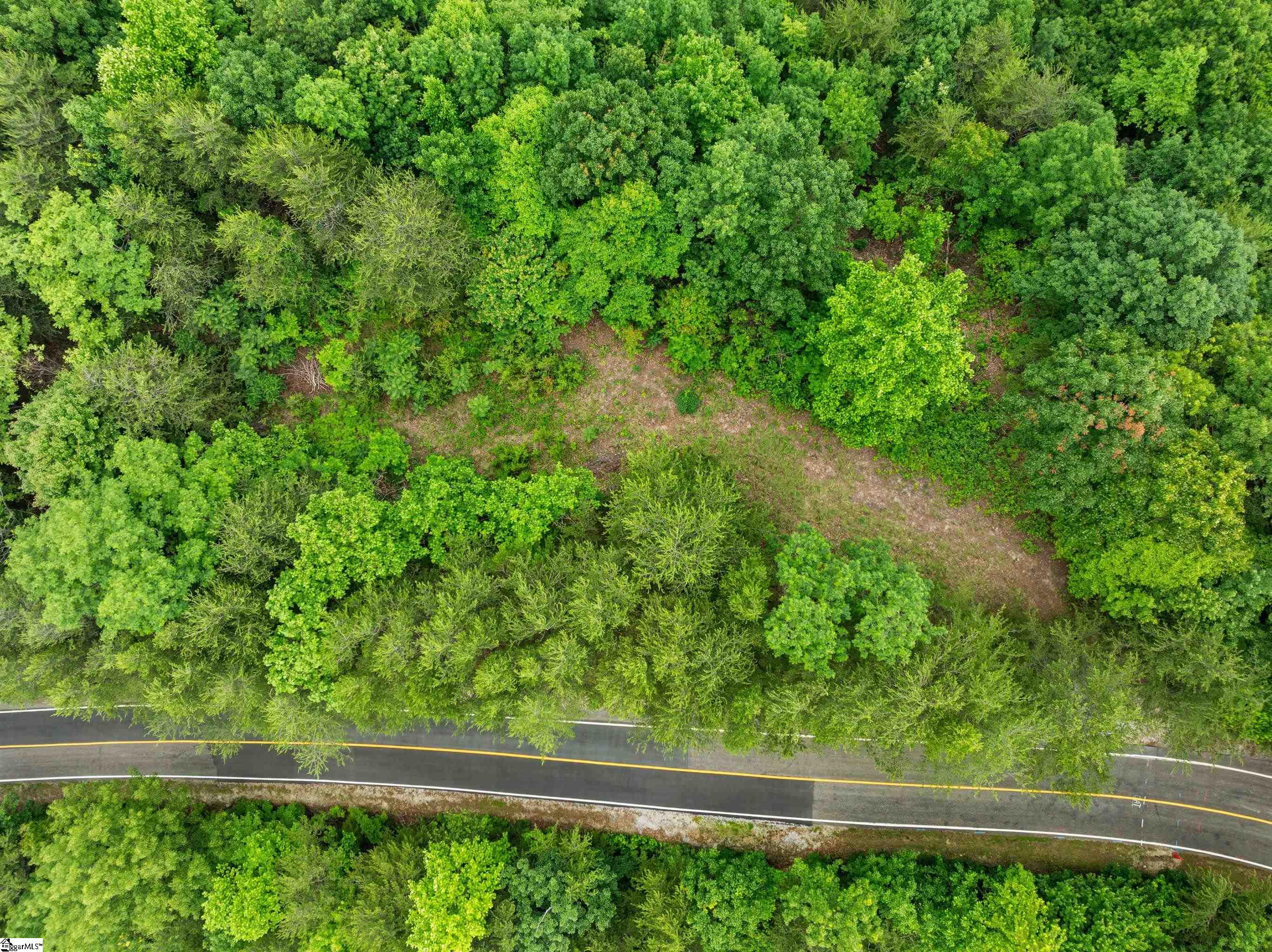 214 Craggy Rock, Landrum, South Carolina image 4