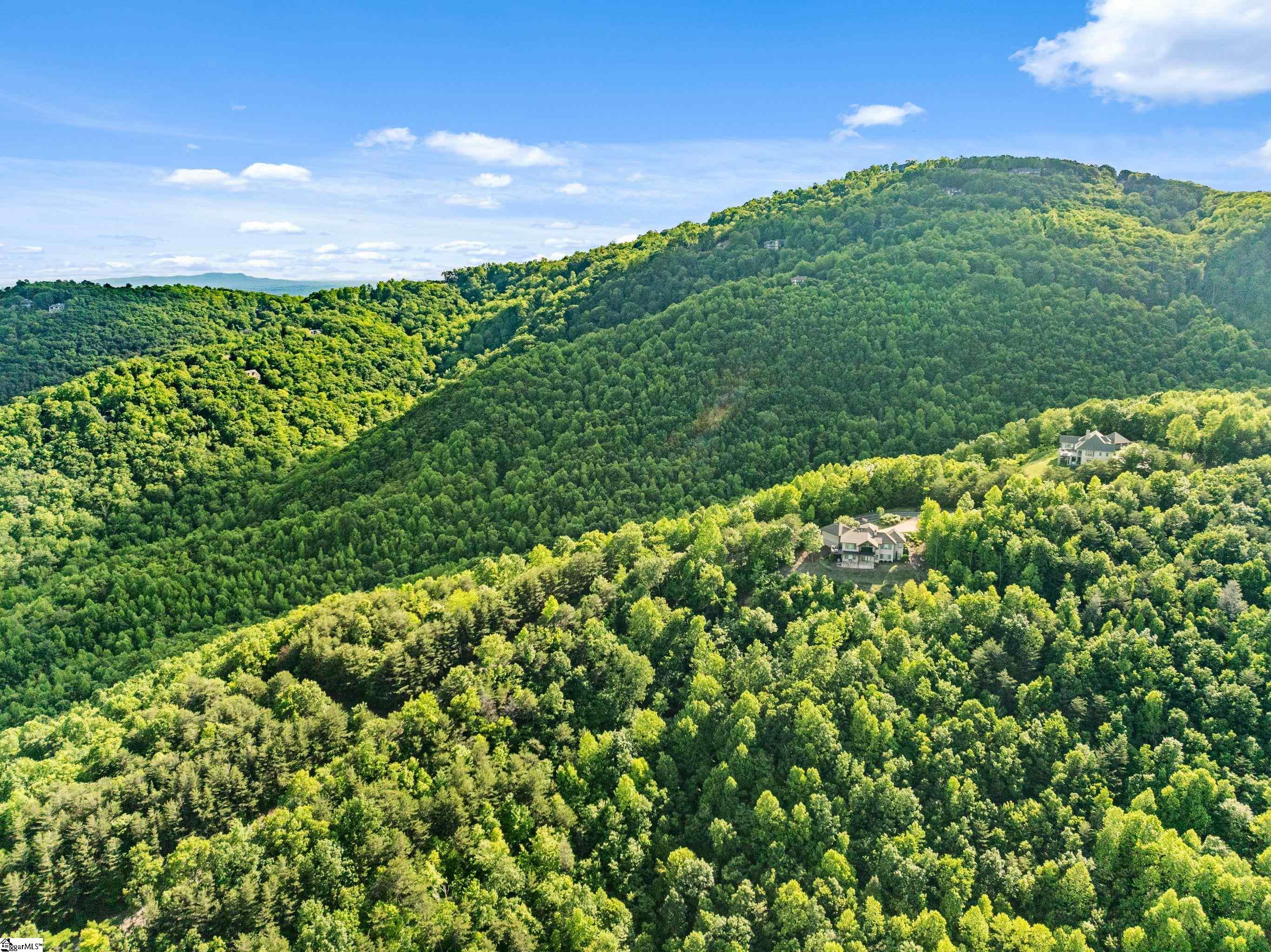 214 Craggy Rock, Landrum, South Carolina image 31