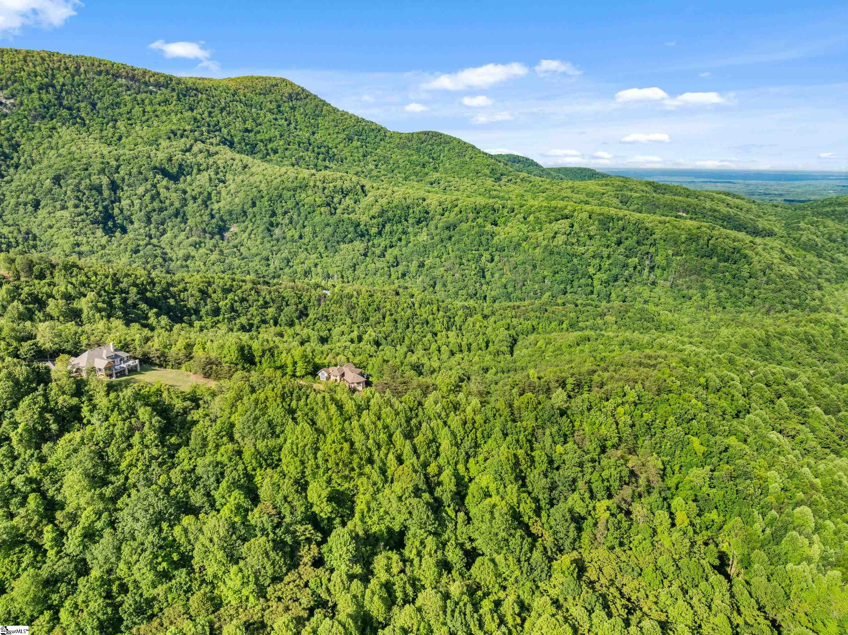 214 Craggy Rock, Landrum, South Carolina image 33