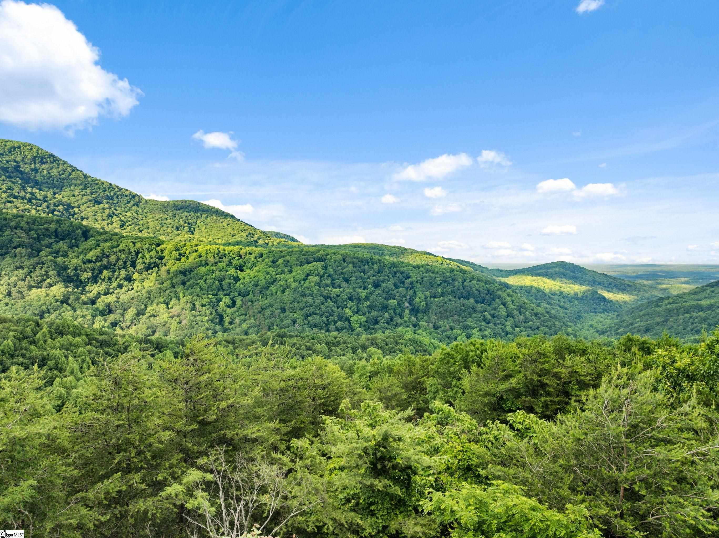 214 Craggy Rock, Landrum, South Carolina image 34