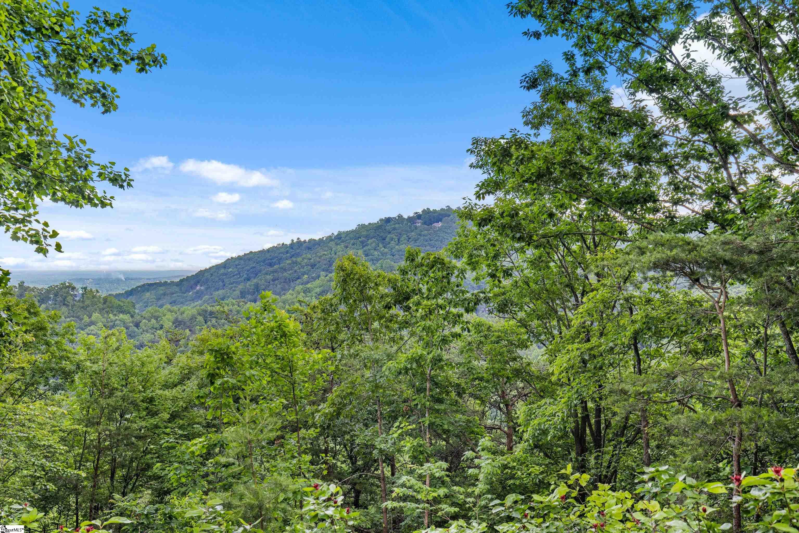 214 Craggy Rock, Landrum, South Carolina image 35