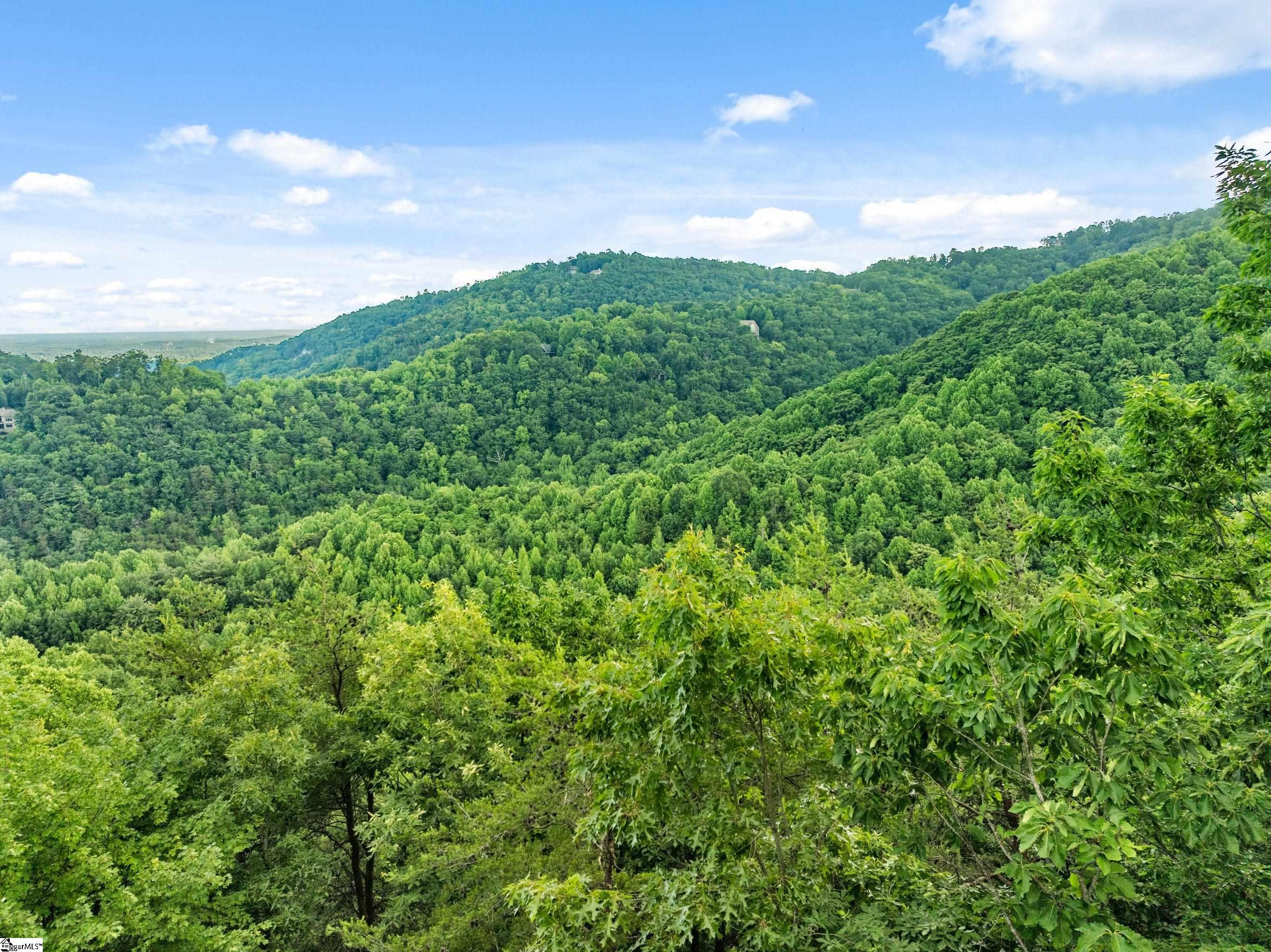 214 Craggy Rock, Landrum, South Carolina image 36