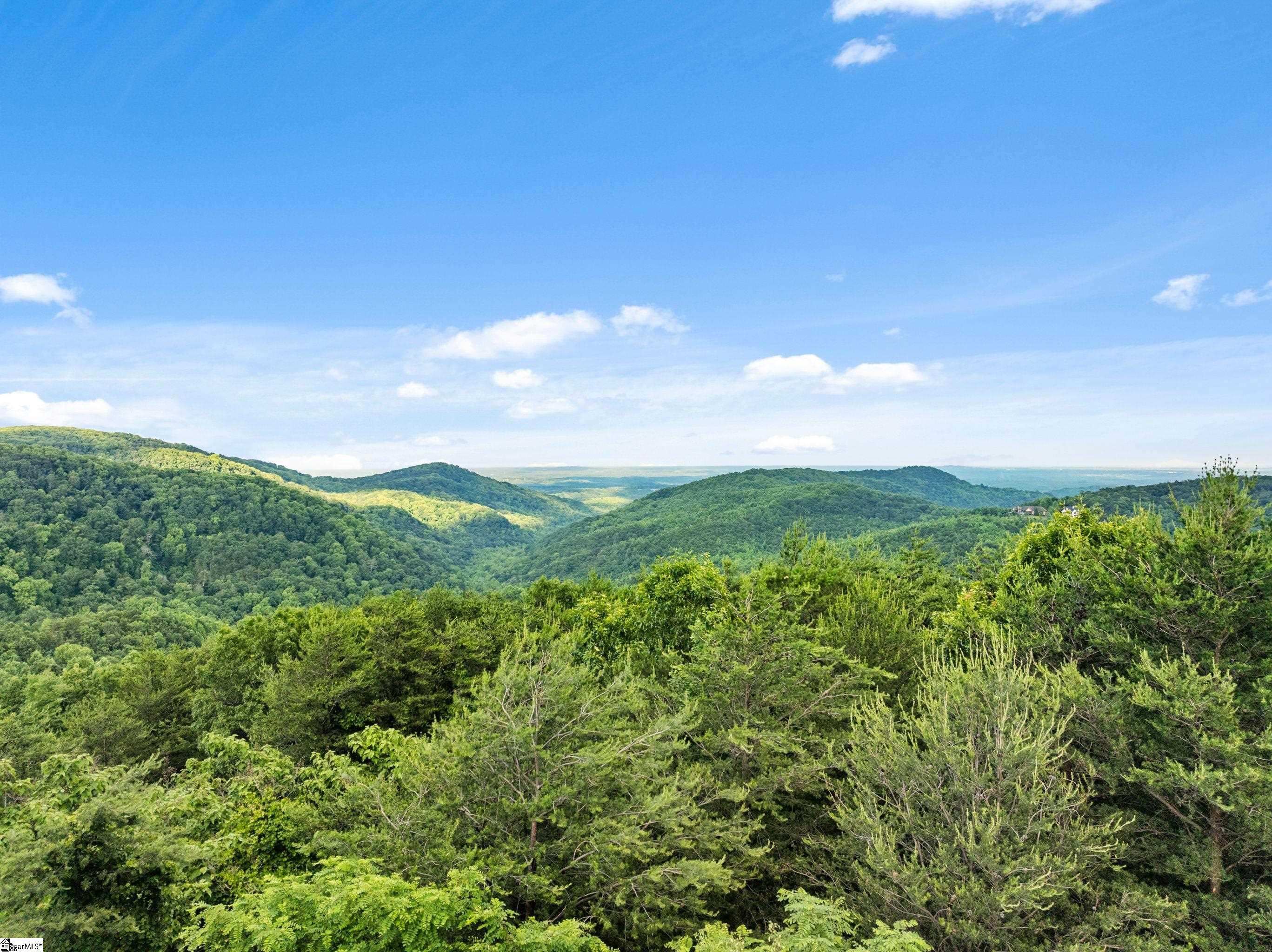 214 Craggy Rock, Landrum, South Carolina image 37