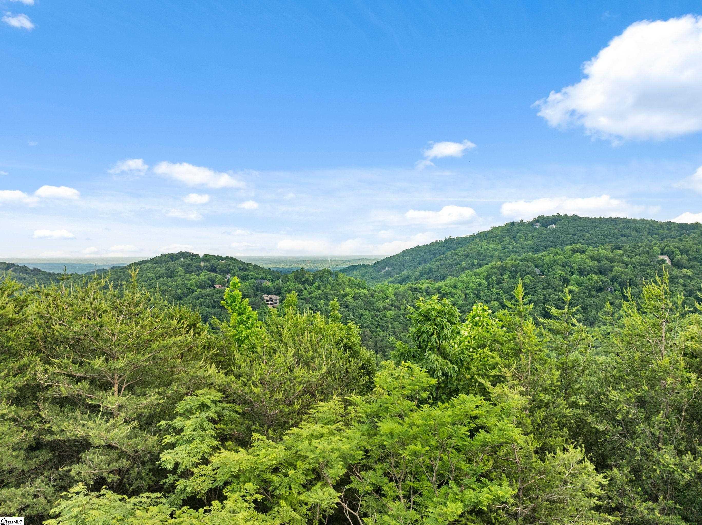 214 Craggy Rock, Landrum, South Carolina image 38