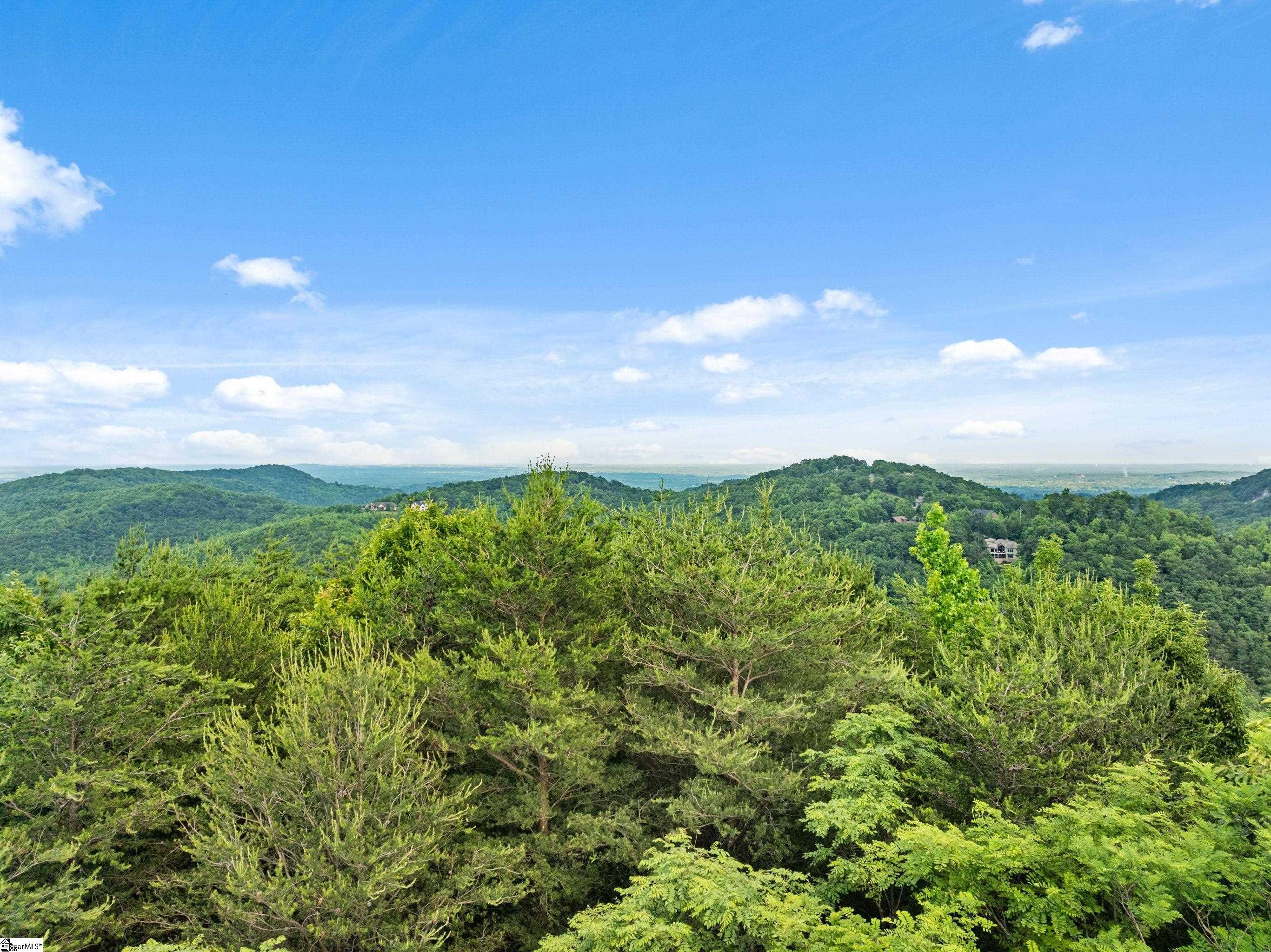 214 Craggy Rock, Landrum, South Carolina image 39