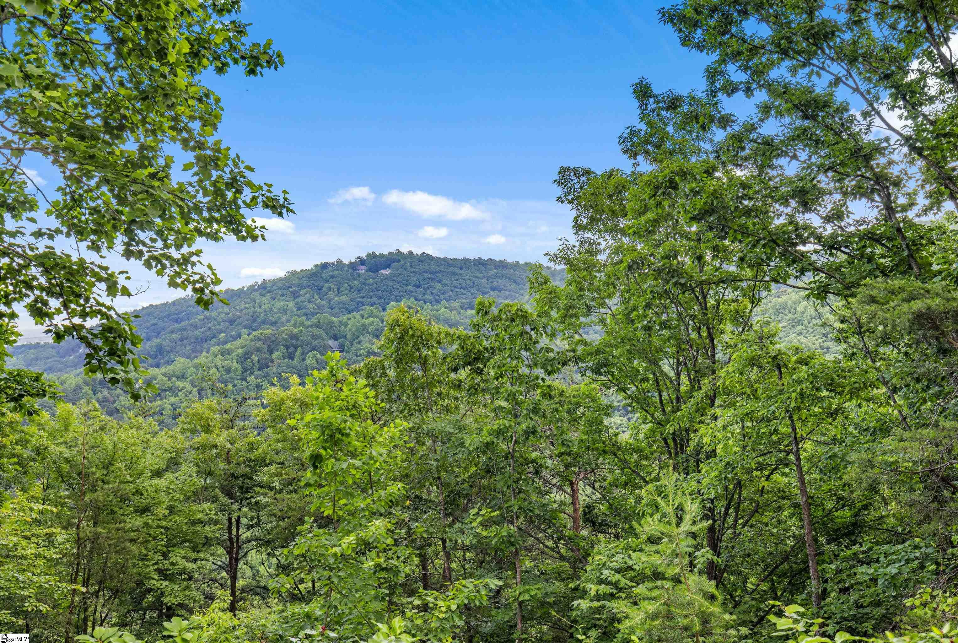 214 Craggy Rock, Landrum, South Carolina image 5