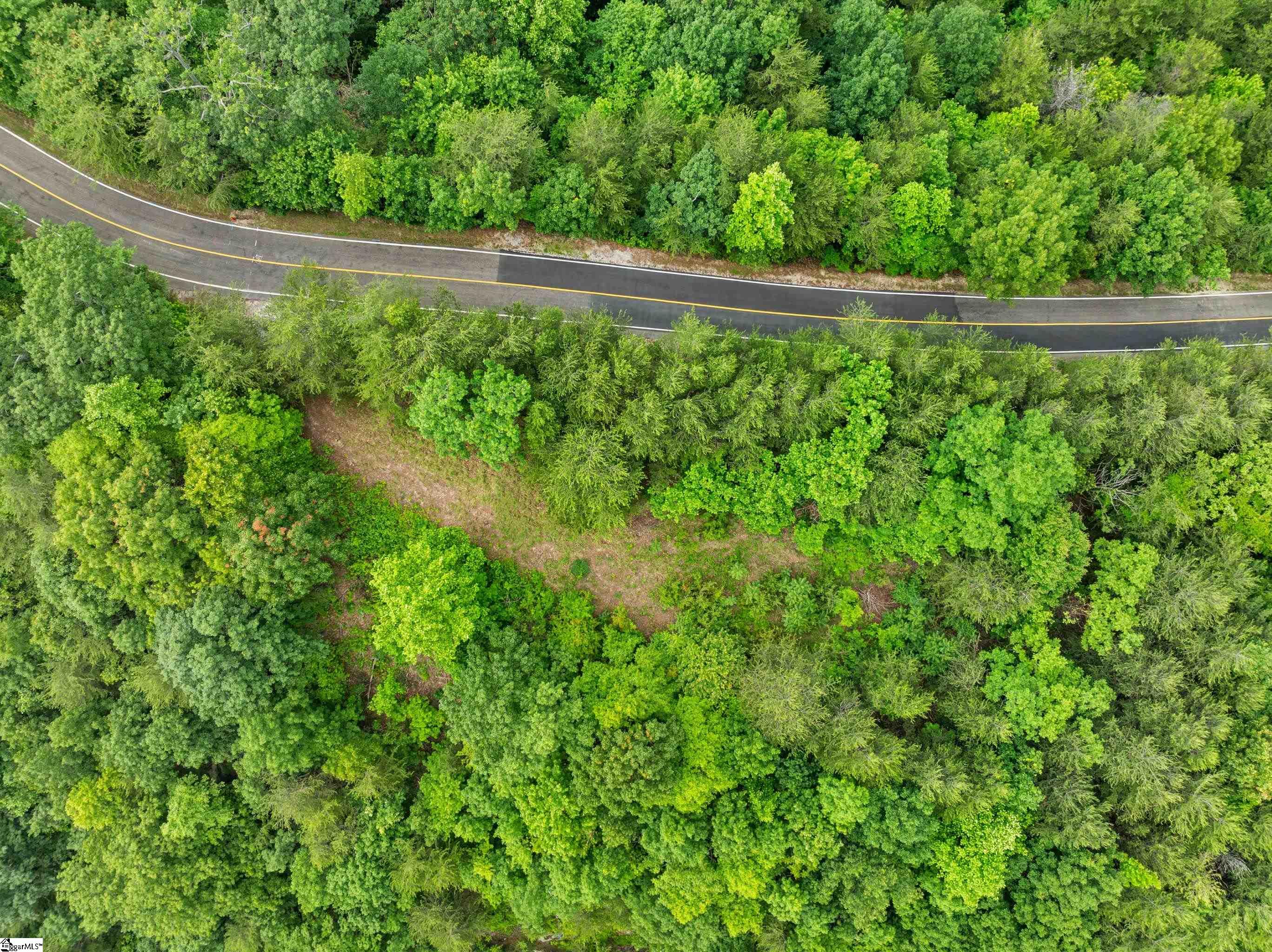 214 Craggy Rock, Landrum, South Carolina image 40