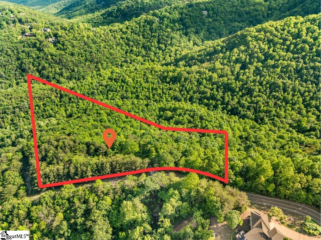 214 Craggy Rock, Landrum, South Carolina image 41