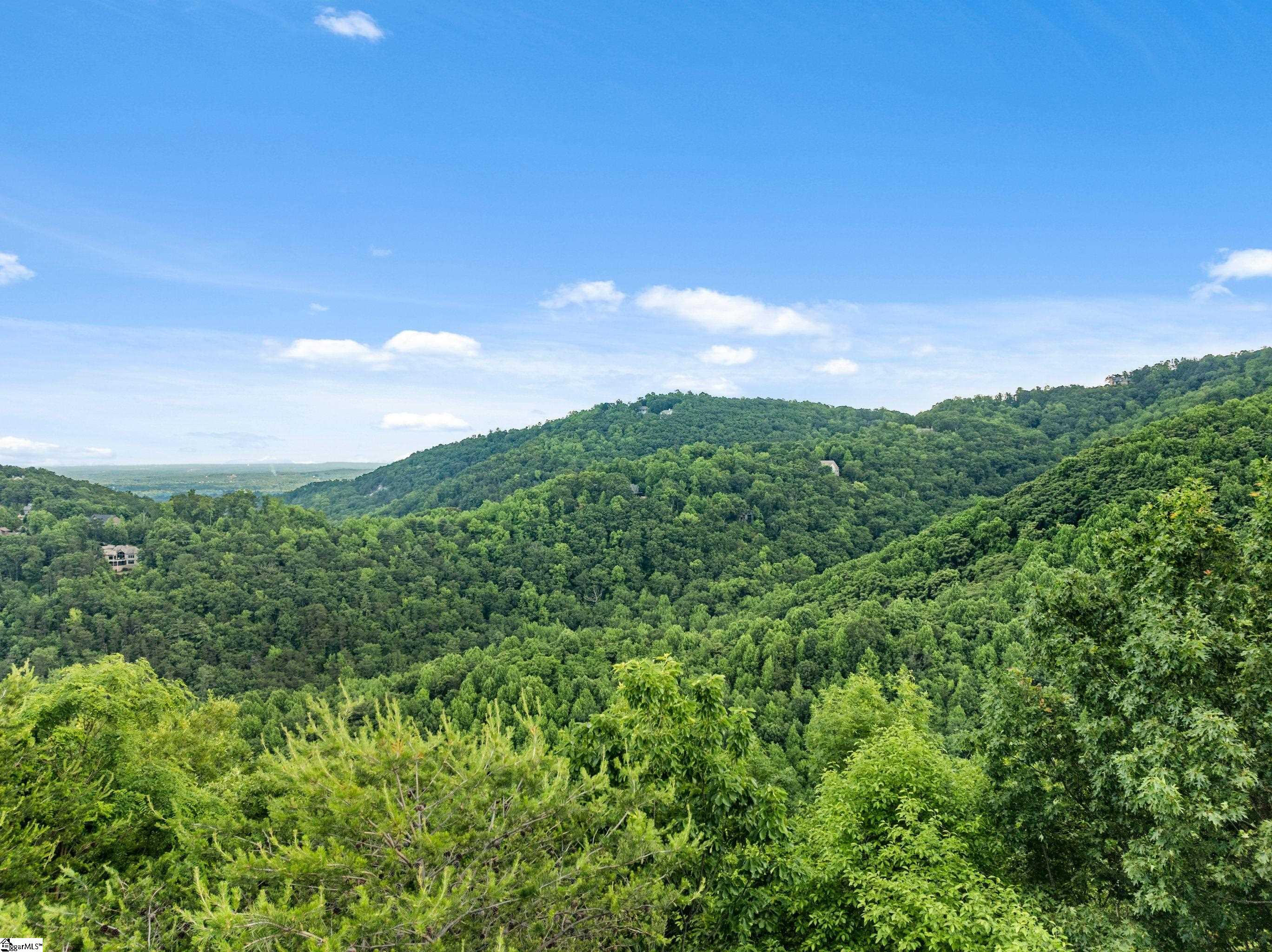 214 Craggy Rock, Landrum, South Carolina image 6