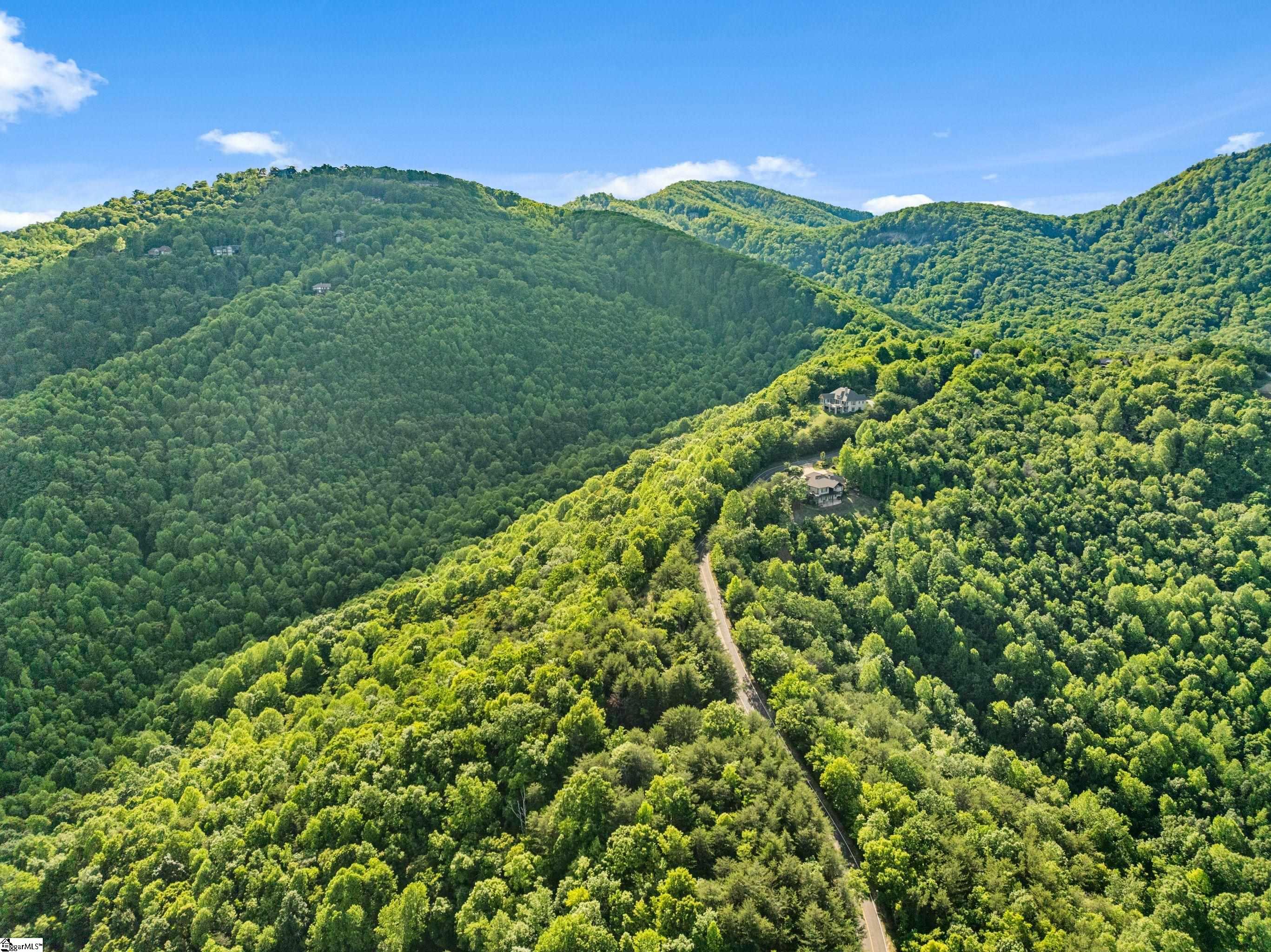 214 Craggy Rock, Landrum, South Carolina image 7