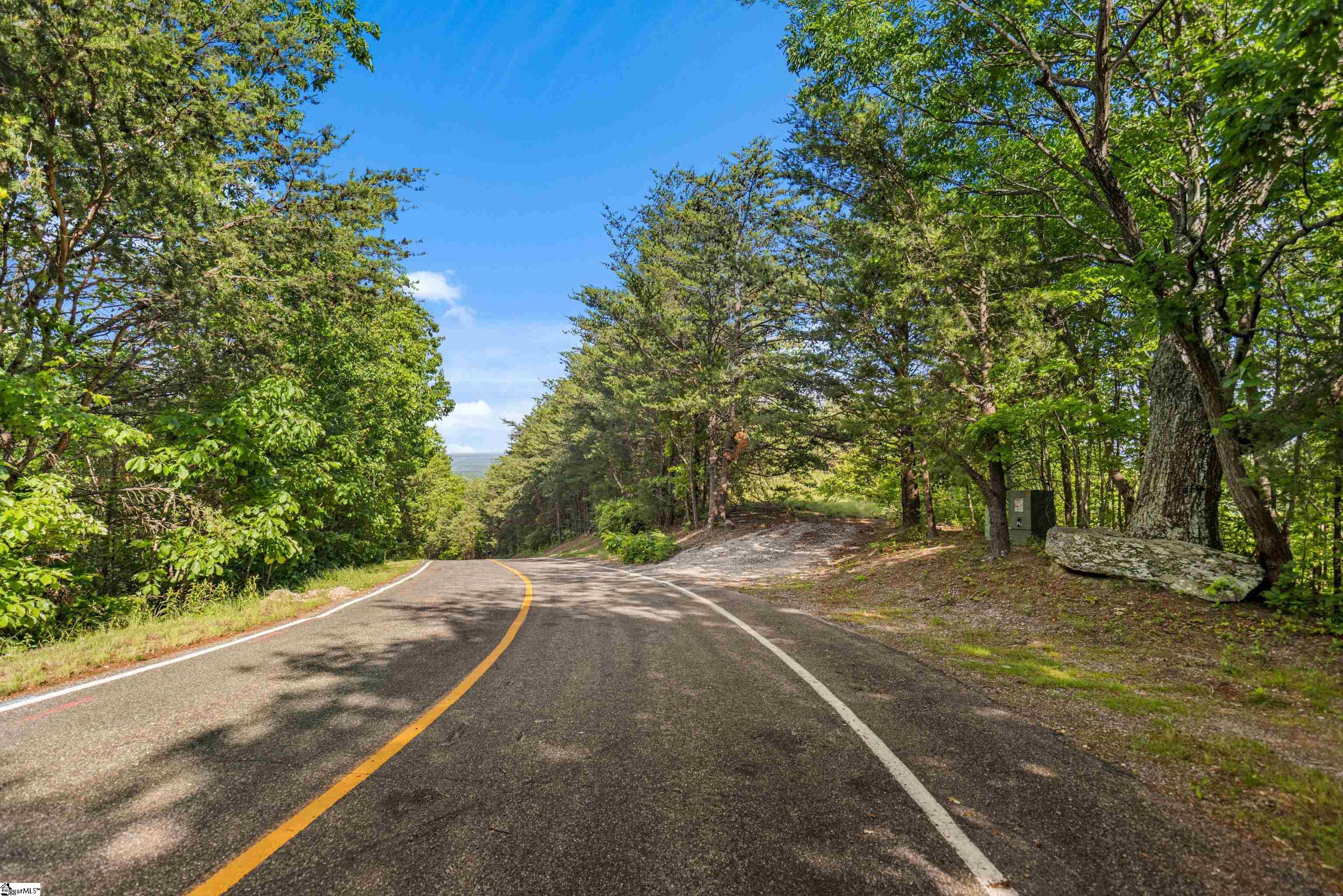 214 Craggy Rock, Landrum, South Carolina image 8